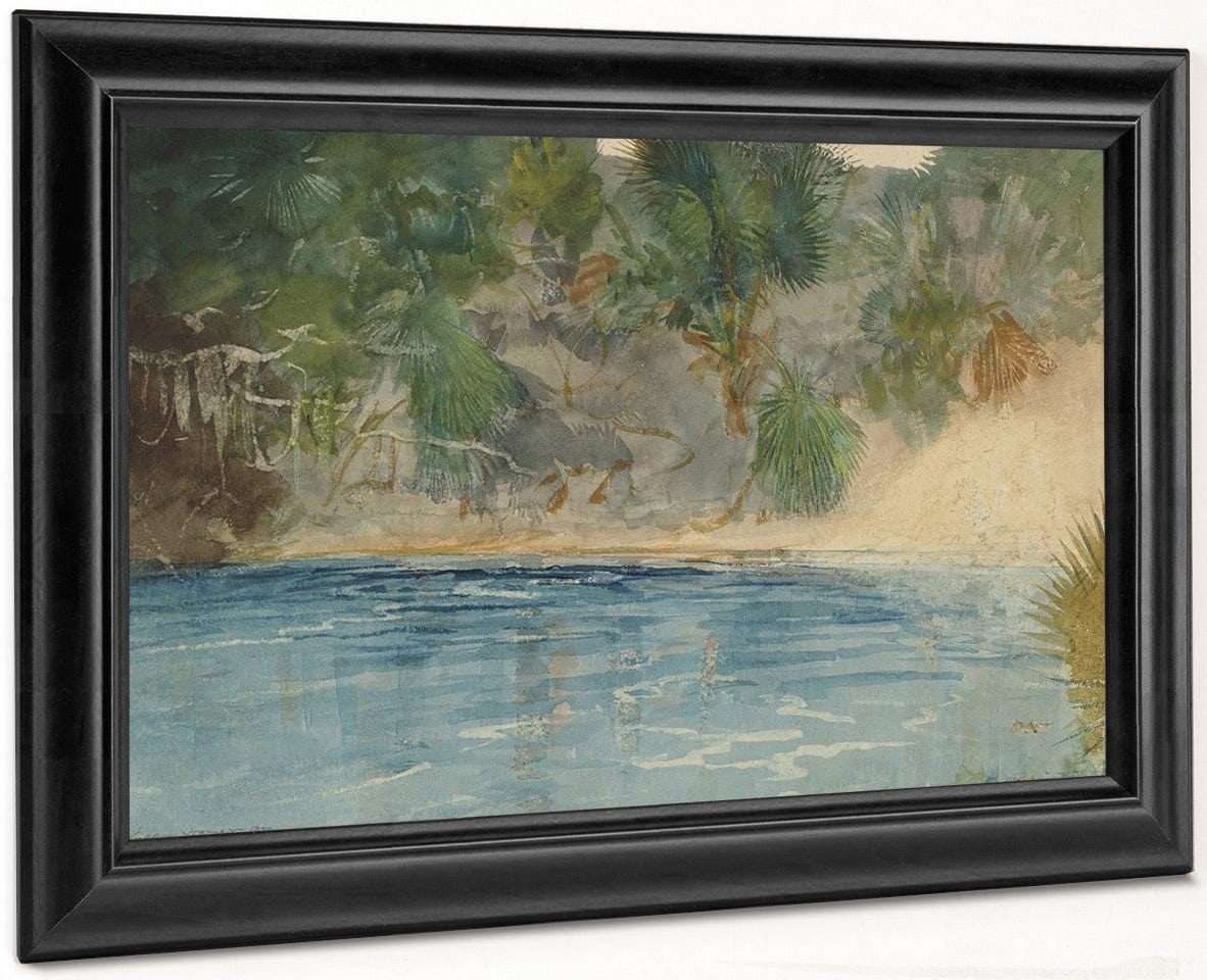 Blue Spring, Florida By Winslow Homer - Image 6