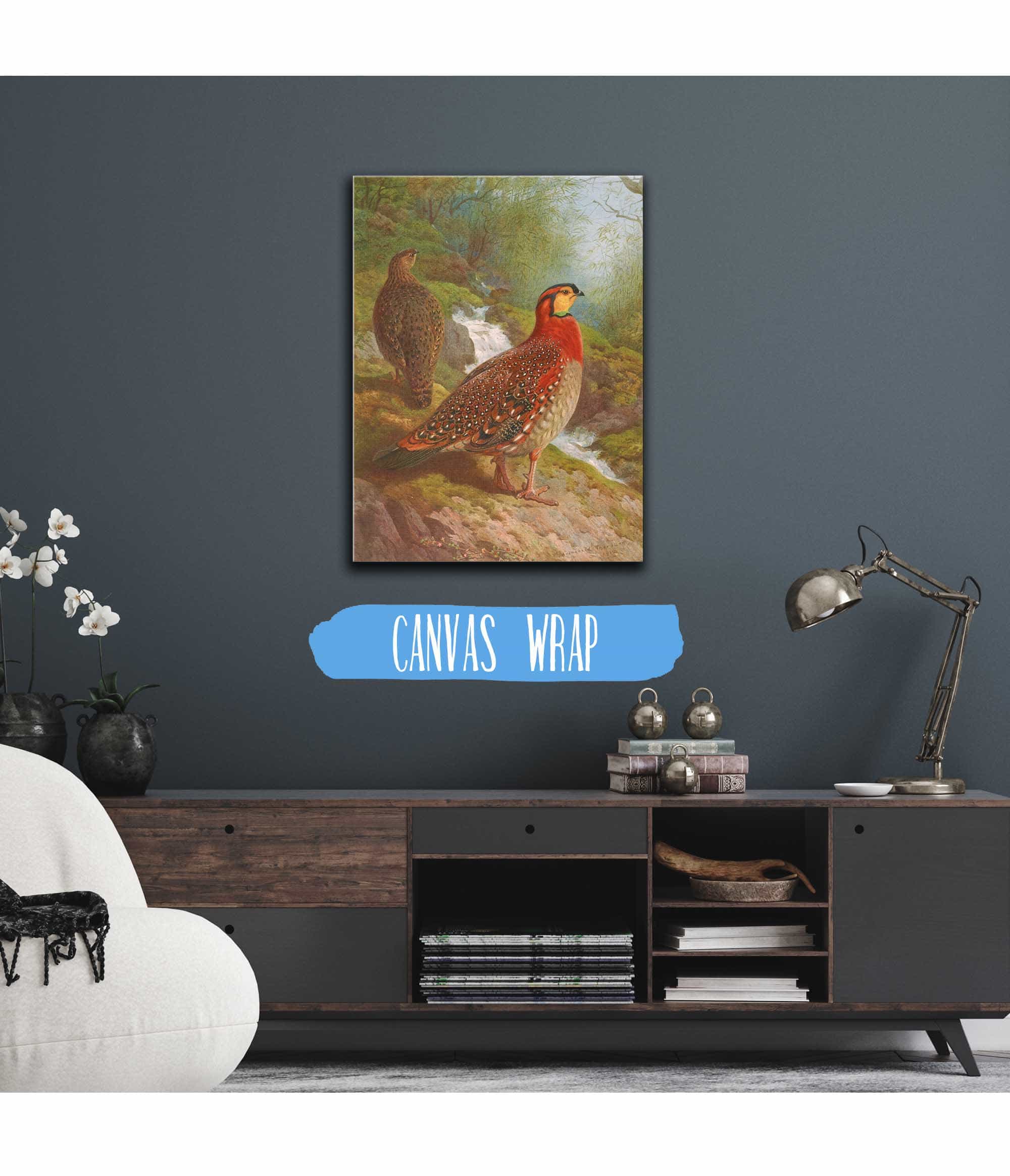 Blyths Tragopan by Archibald Thorburn - Image 3