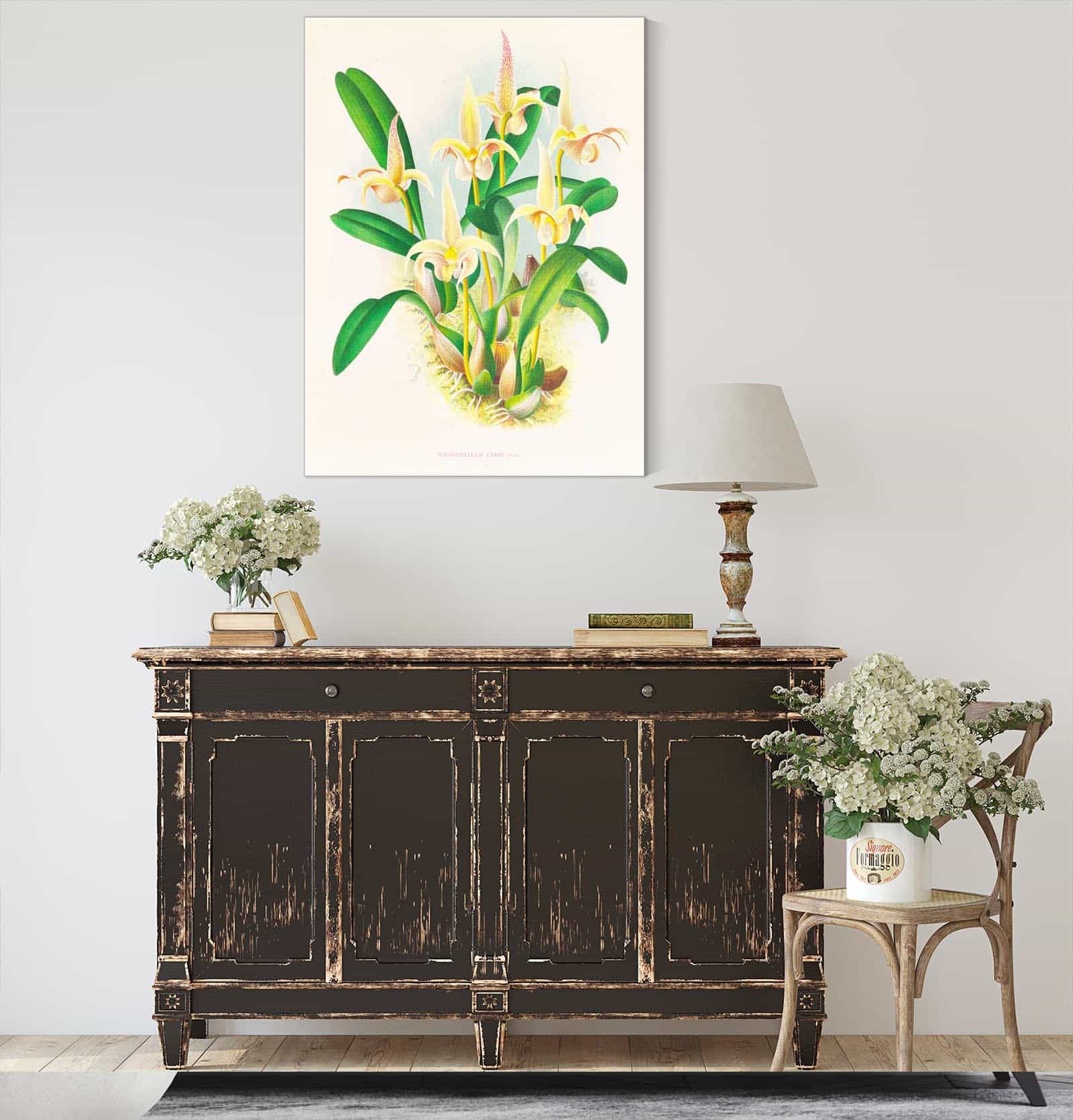 Bolbophyllum Lobbi by Jean Jules Linden - Image 4