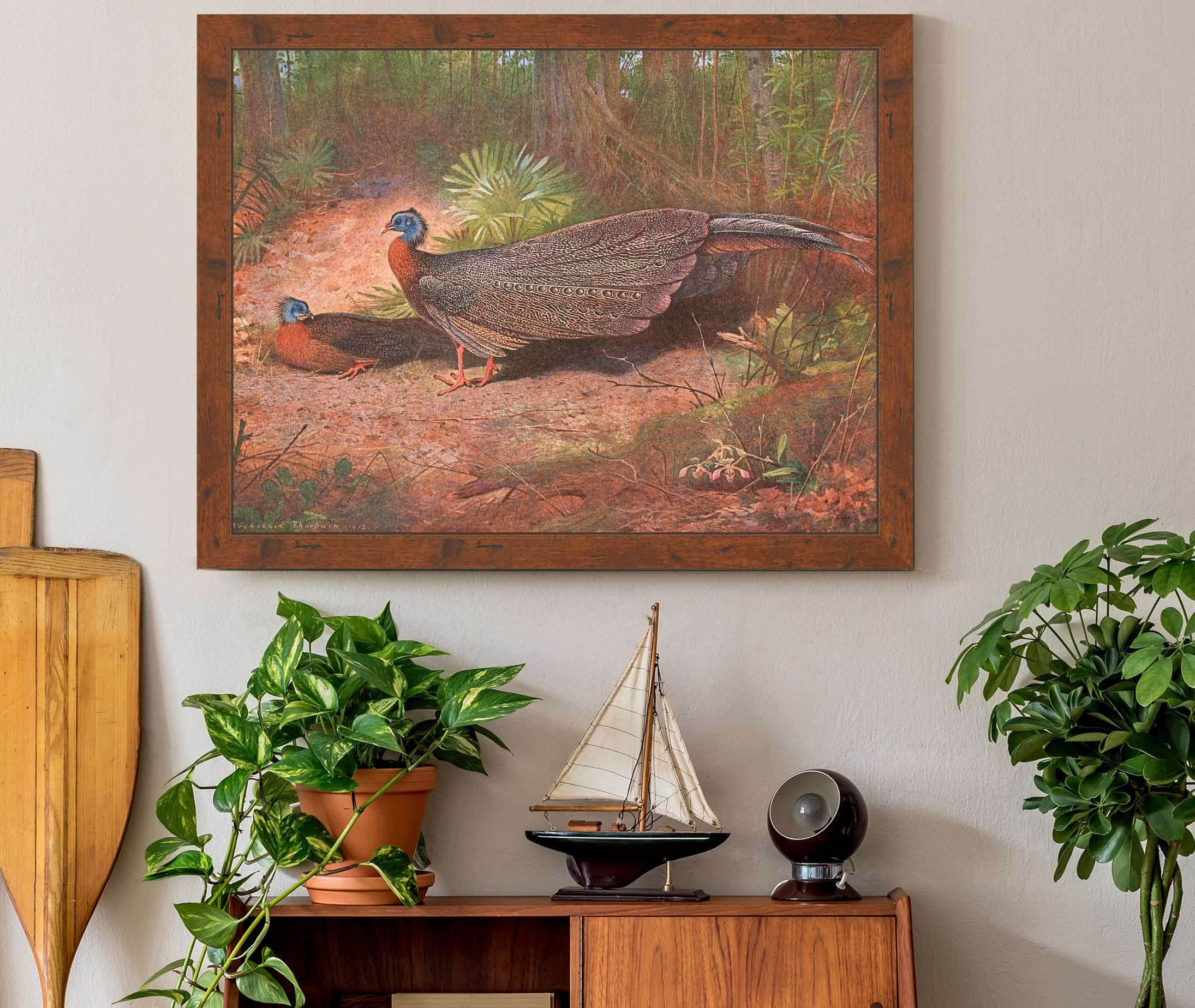 Bornean Argus Pheasant by Archibald Thorburn - Image 3