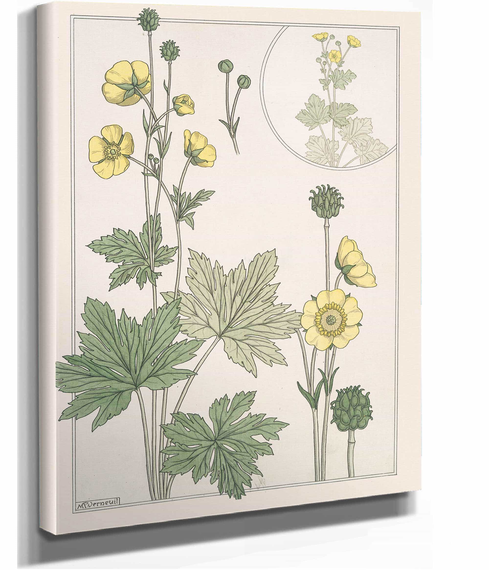 Bouton Dor by Maurice Pillard Verneuil - Image 3
