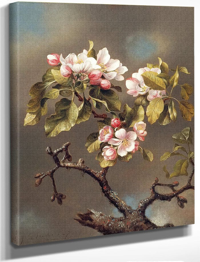 Branch Of Apple Blossoms Against A Cloudy Sky By Martin Johnson Heade