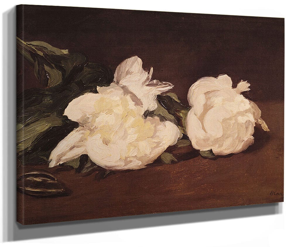 Branch Of White Peonies And Secateurs By Edouard Manet