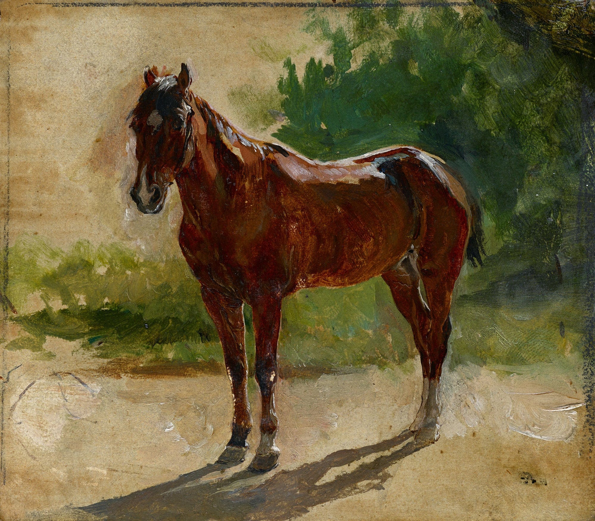 Brown Horse Study by Ernest Meissonier - Image 2