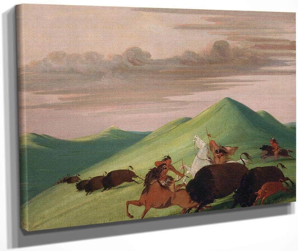 Buffalo Chase, Bull Protecting A Cow And Calf By George Catlin