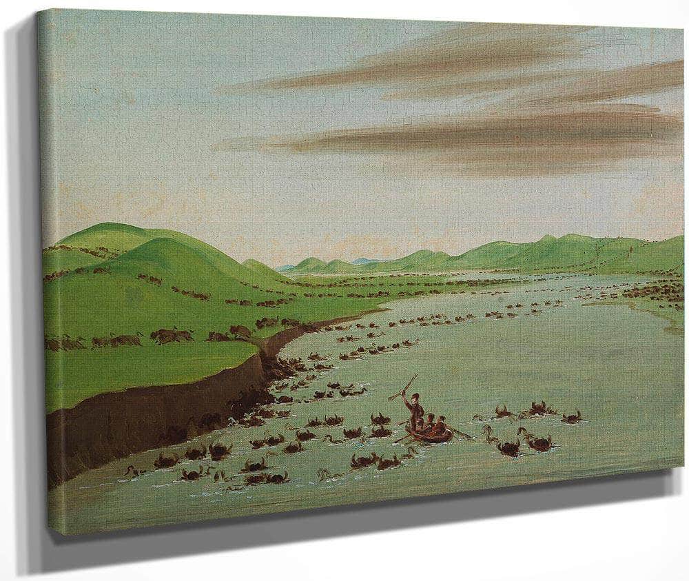 Buffalo Herds Crossing The Upper Missouri By George Catlin