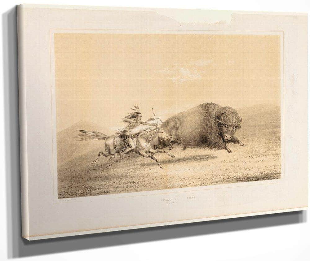 Buffalo Hunt, Chase No. 5 By George Catlin