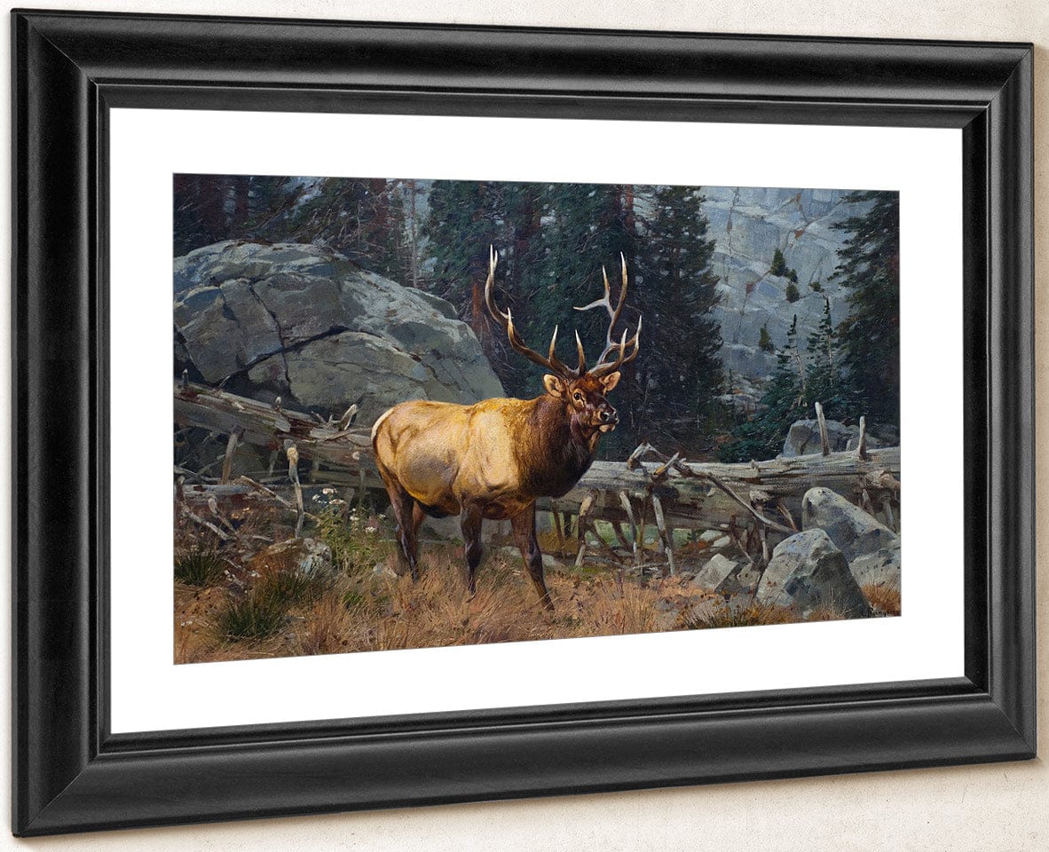 Bull Elk In The High Country By Carl Rungius - Image 4