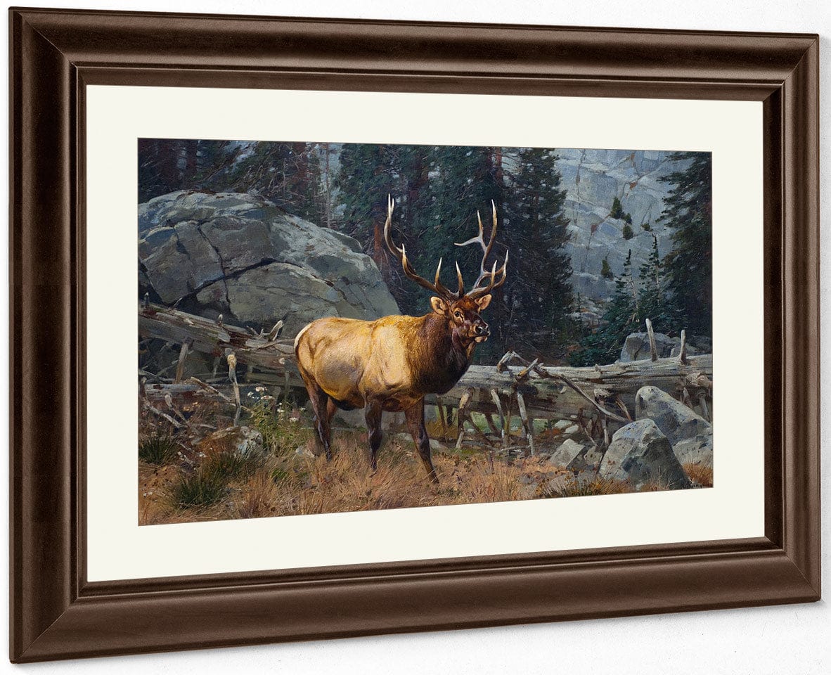 Bull Elk In The High Country By Carl Rungius - Image 5