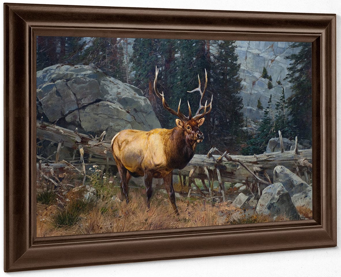 Bull Elk In The High Country By Carl Rungius - Image 6