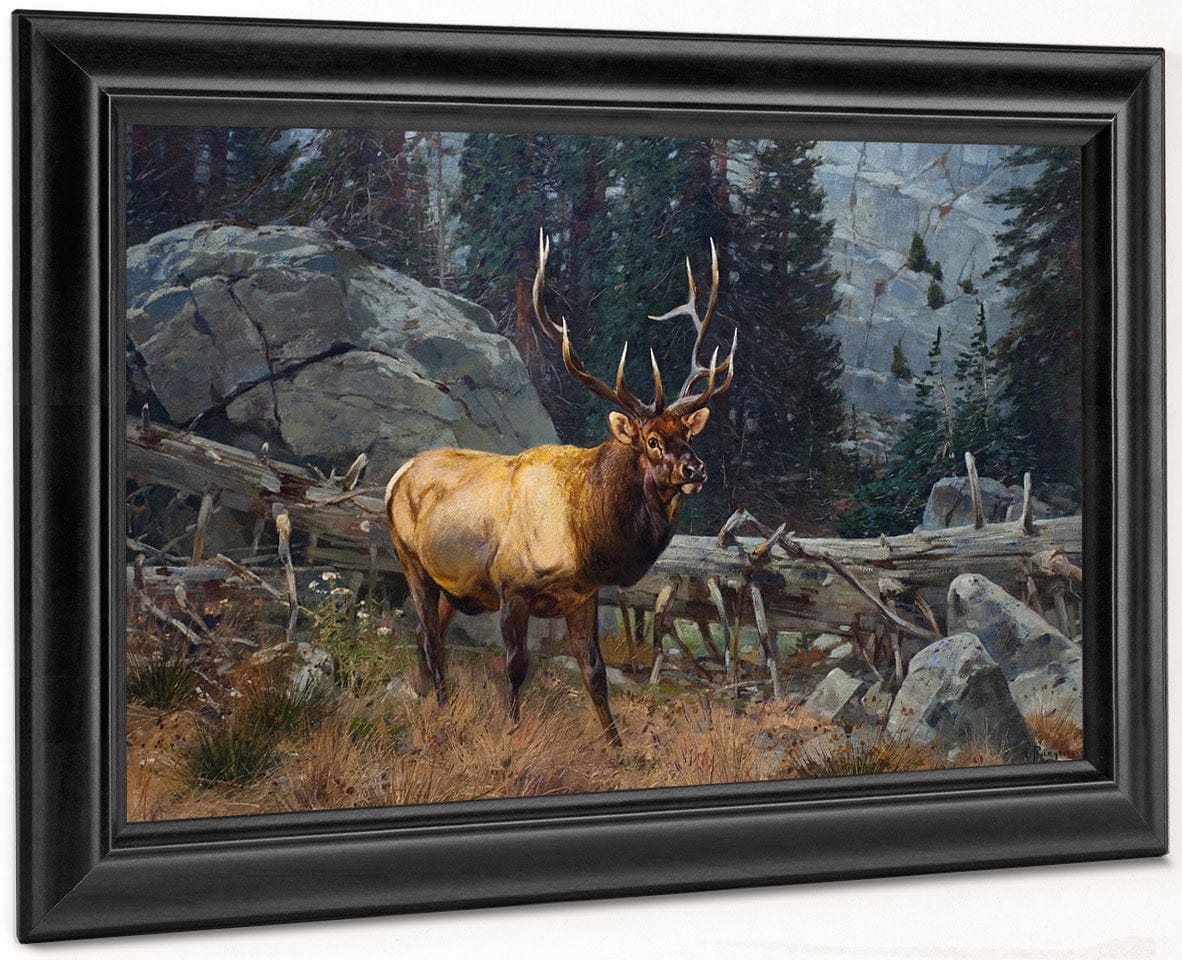 Bull Elk In The High Country By Carl Rungius - Image 8