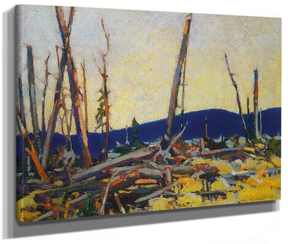 Burnt Land By Tom Thomson