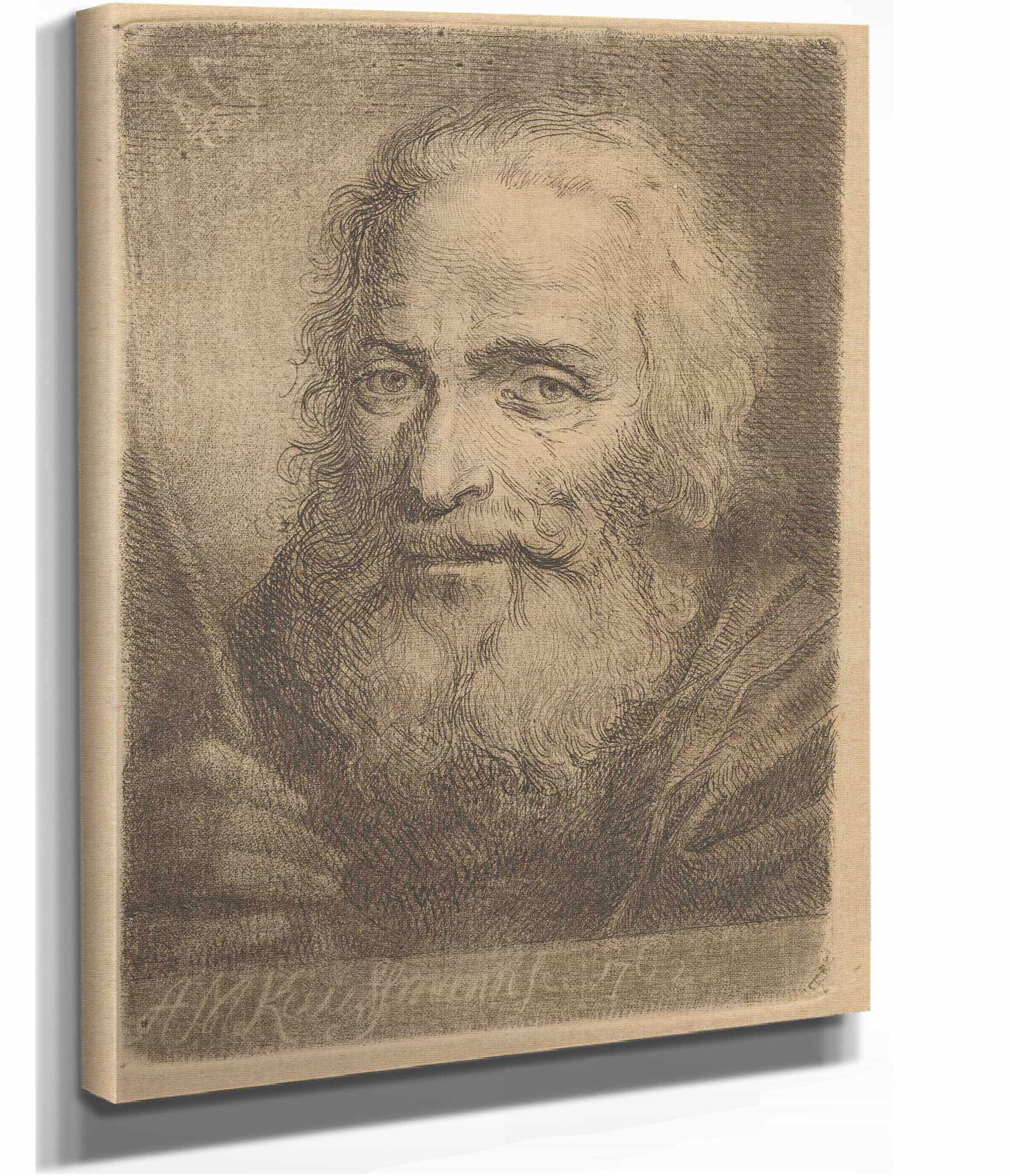 Bust Of An Old Man by Angelica Kauffmann - Image 2