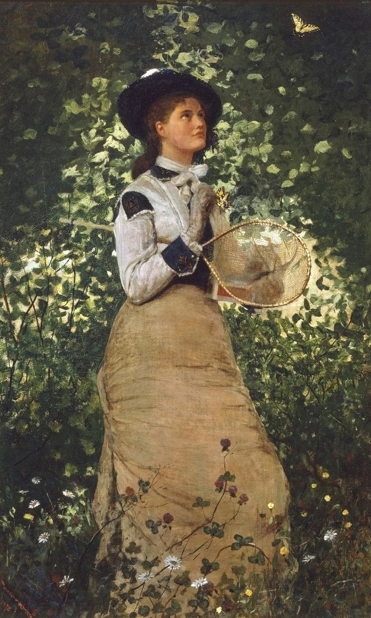 Butterflies By Winslow Homer - Image 6
