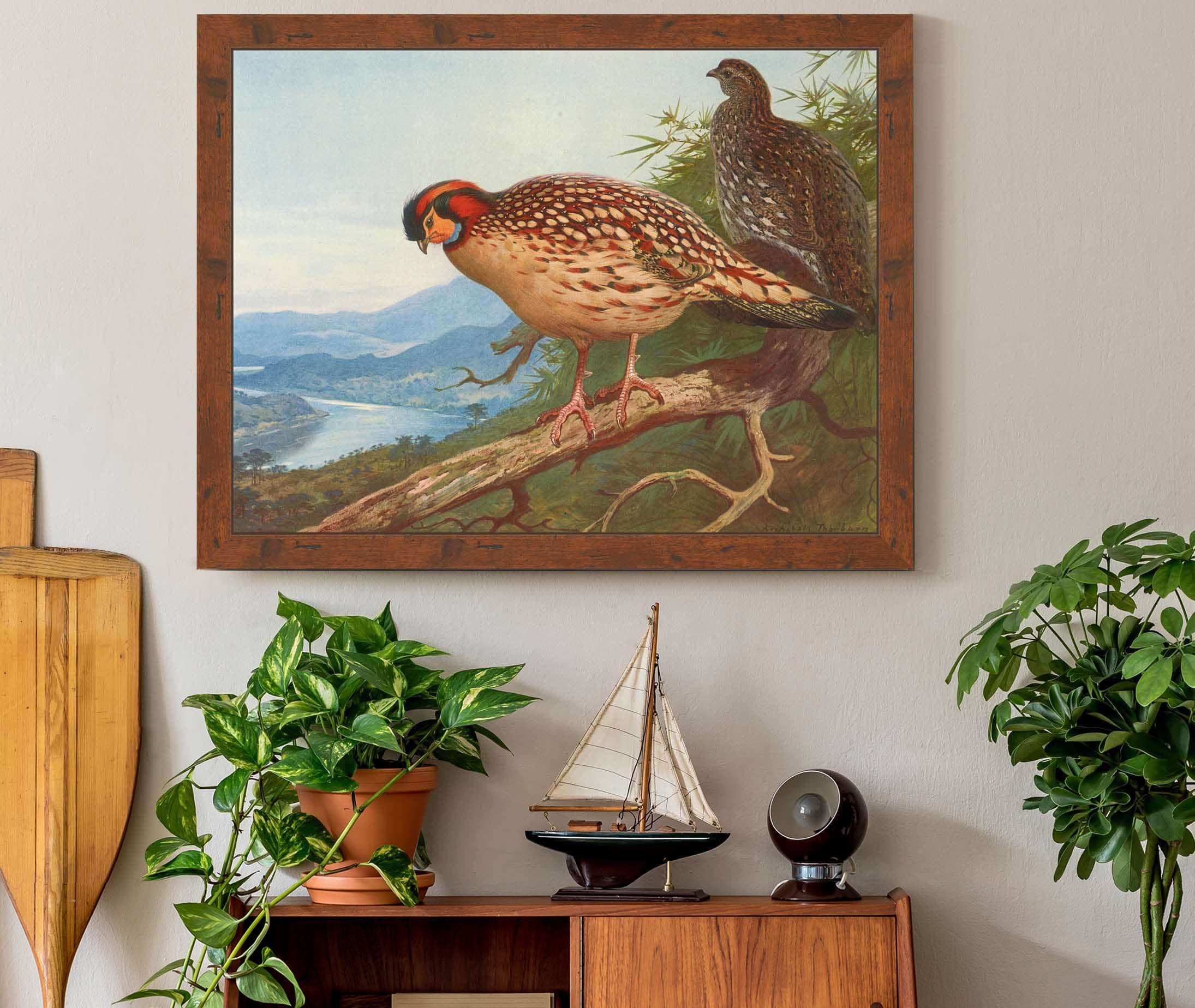 Cabots Tragopan by Archibald Thorburn - Image 3