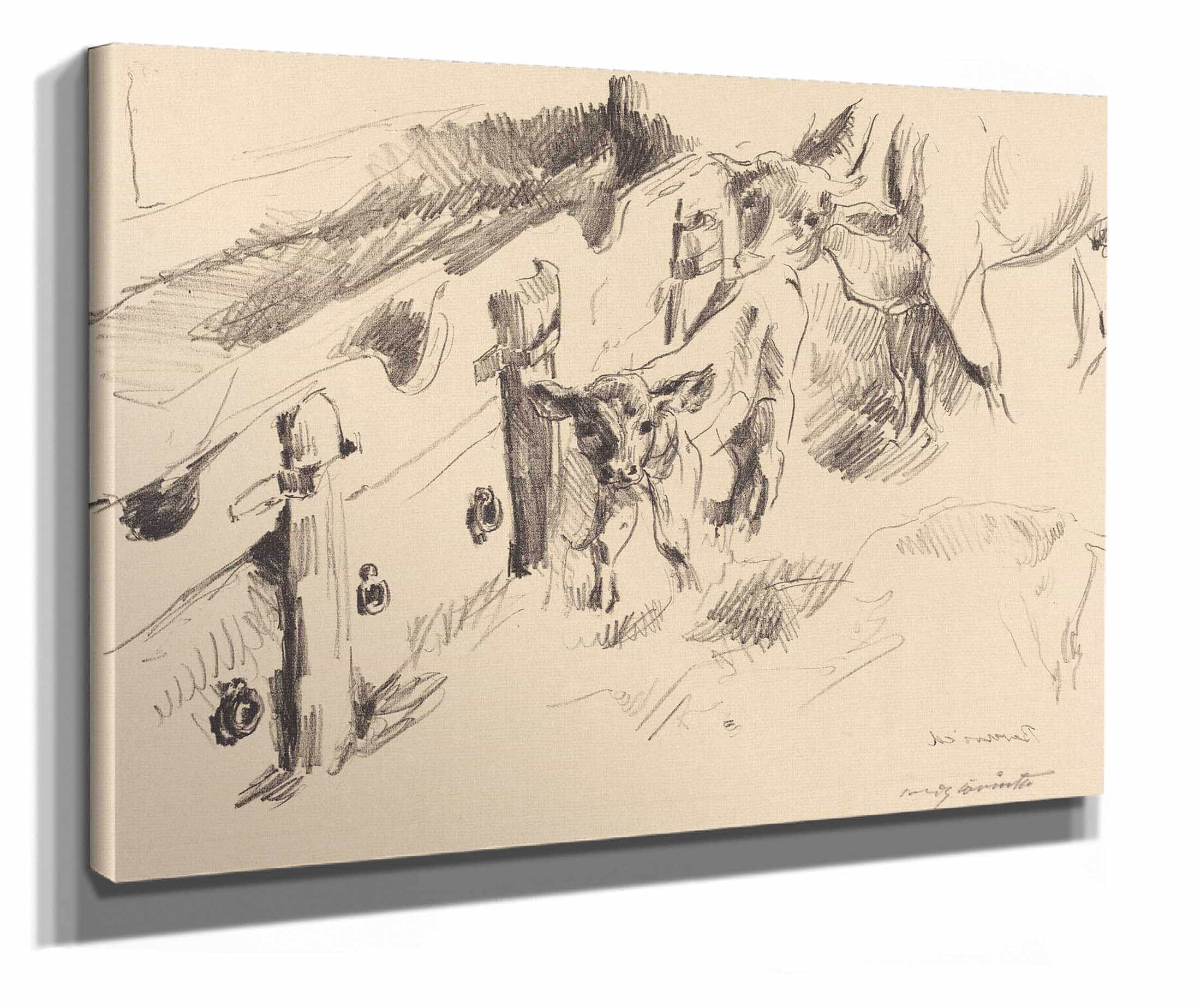 Calves Kalber by Lovis Corinth - Image 2