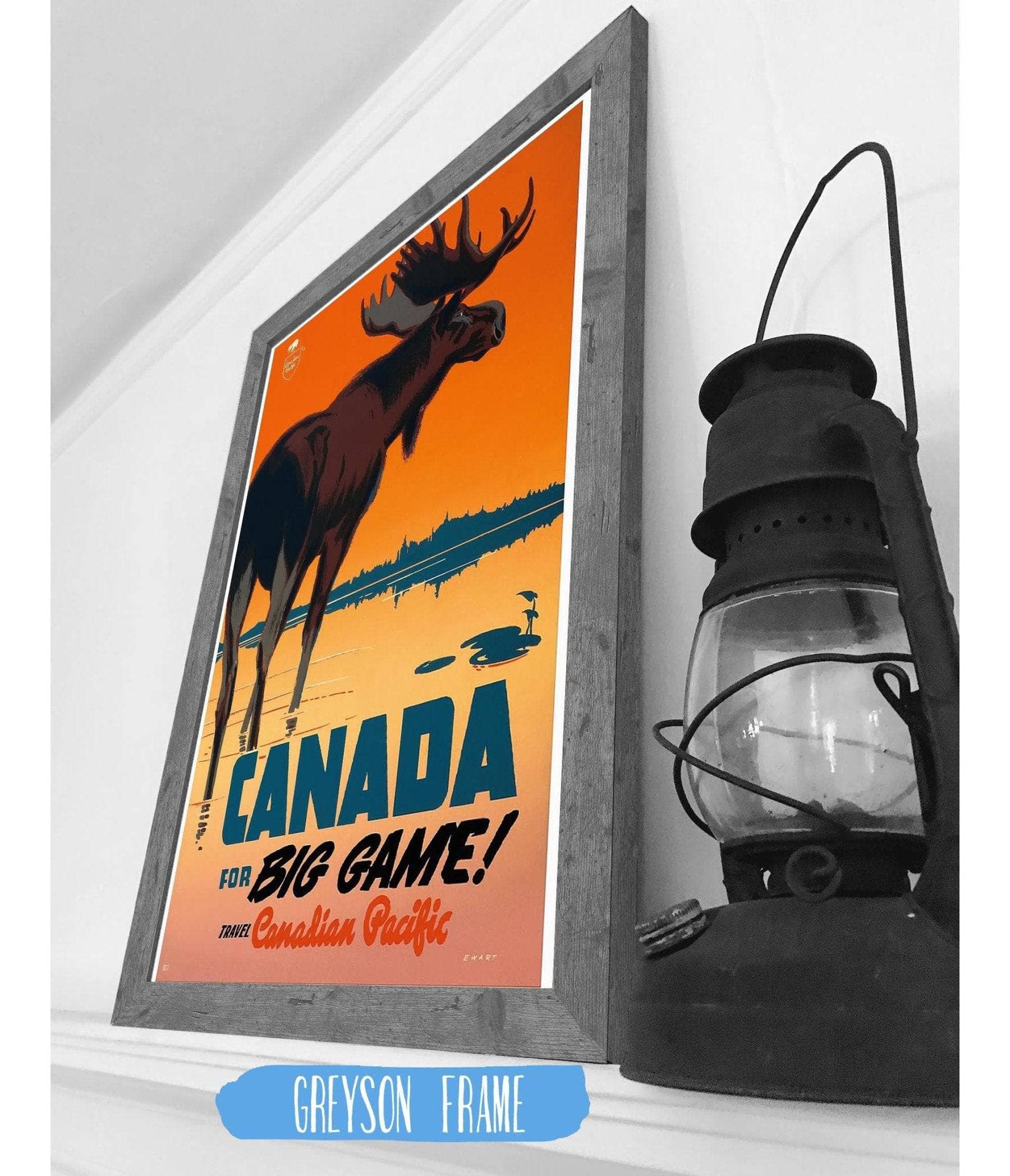 Canada for Big Game! - Canada Travel / Wildlife - Image 3