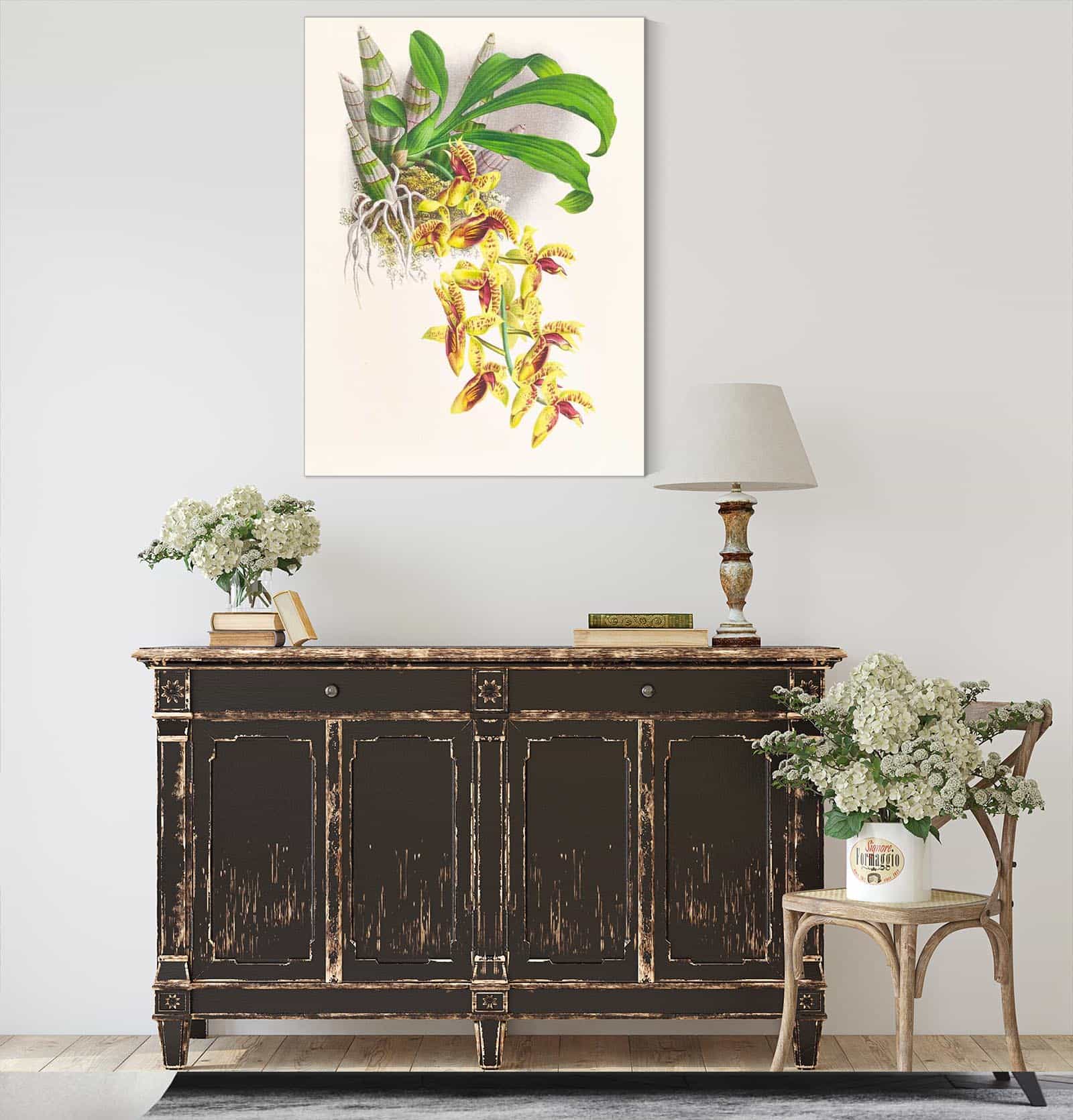 Catasetum Galeritum by Jean Jules Linden - Image 4