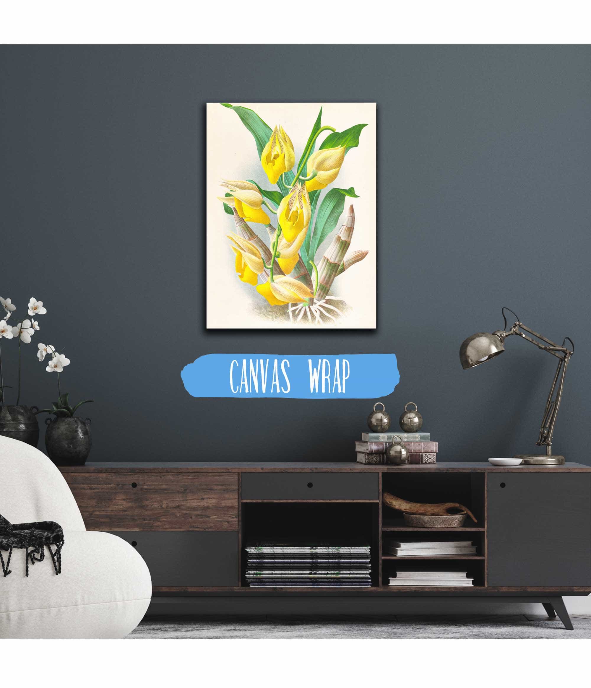 Catasetum Macrocarpum by Jean Jules Linden - Image 3