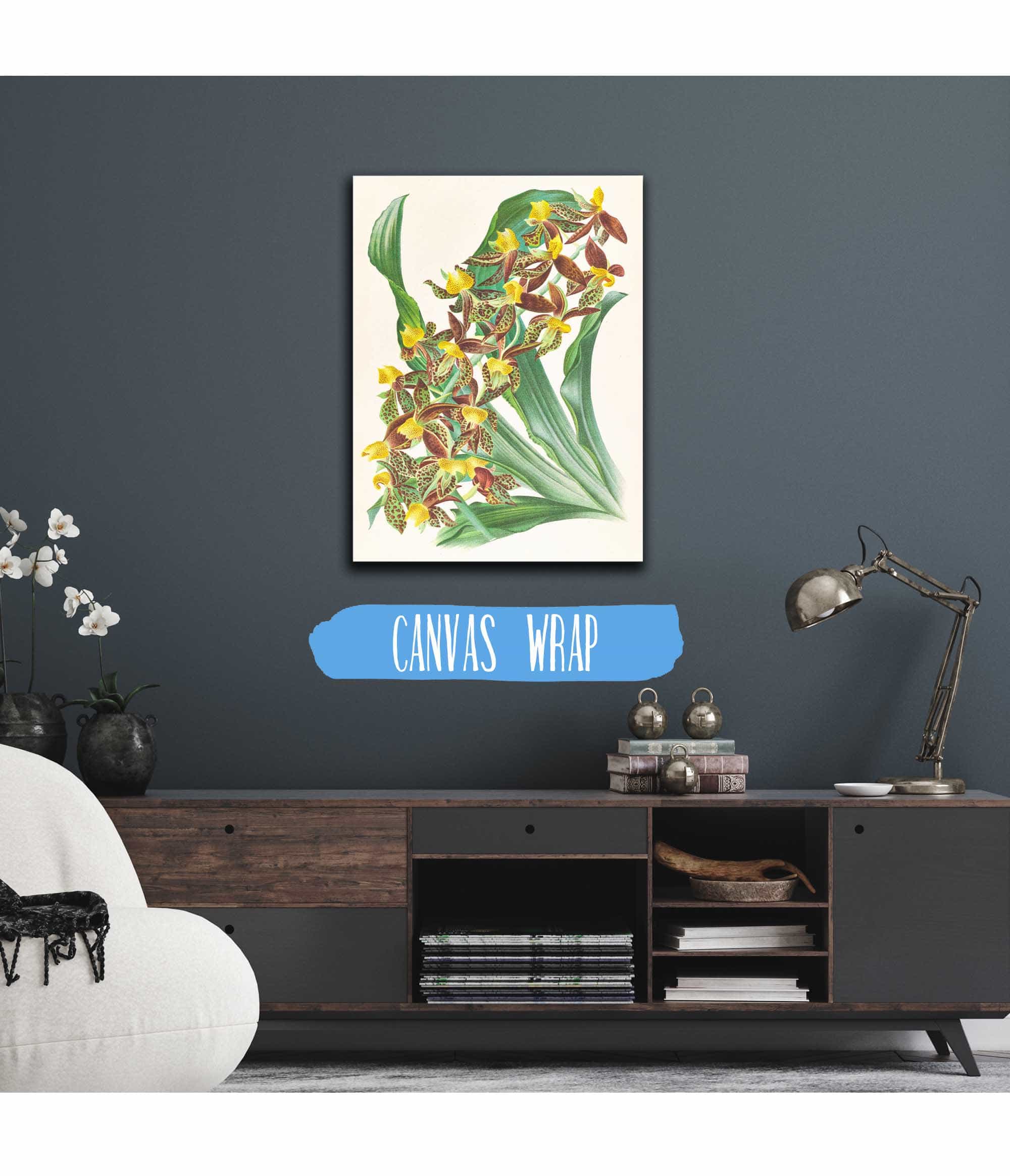 Catasetum Rodigasianum by Jean Jules Linden - Image 3