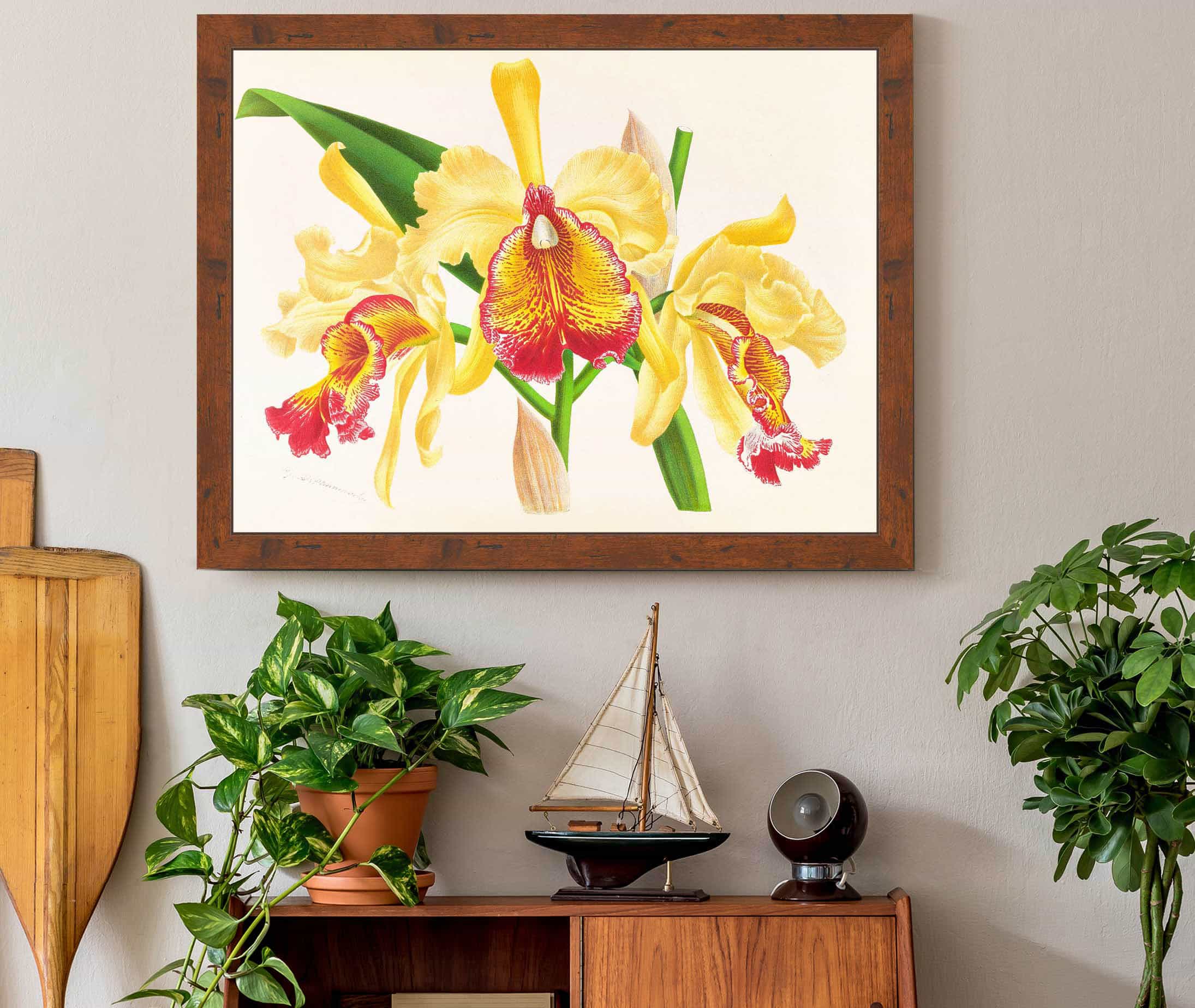 Cattleya Aurea by Jean Jules Linden - Image 3
