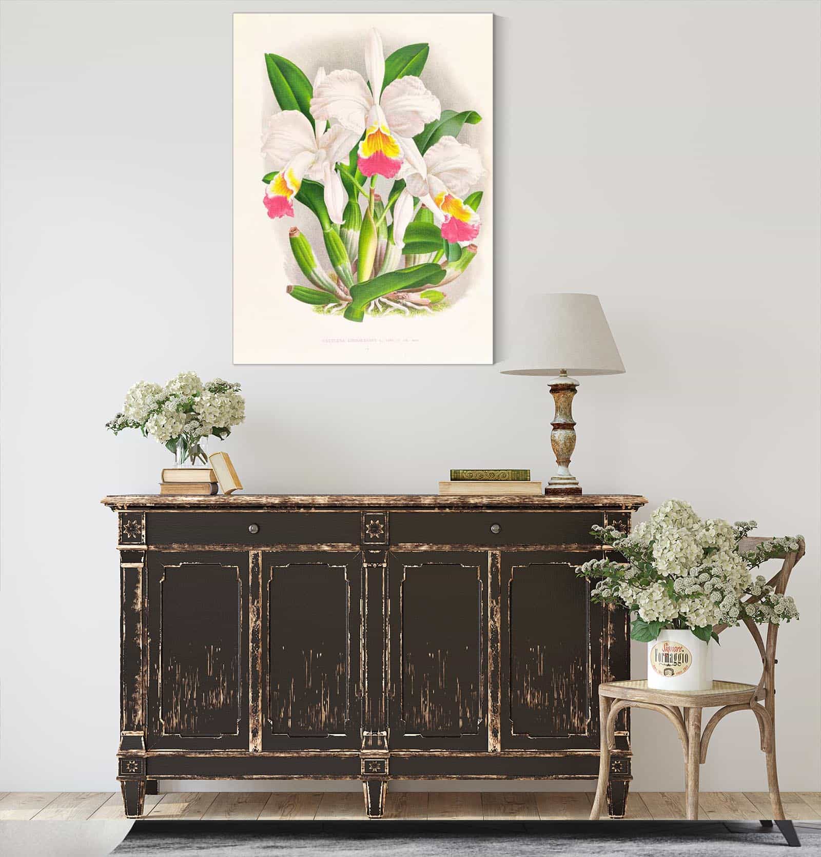 Cattleya Kimballiana by Jean Jules Linden - Image 4