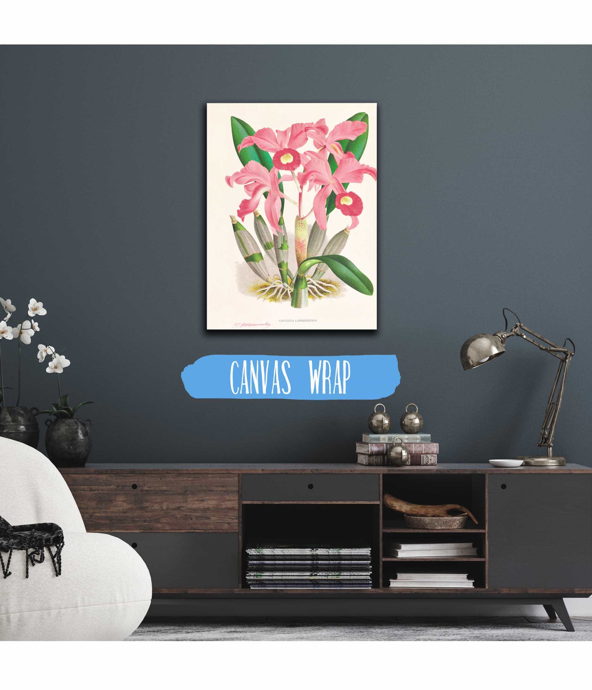 Cattleya Lawrenceana by Jean Jules Linden - Image 3