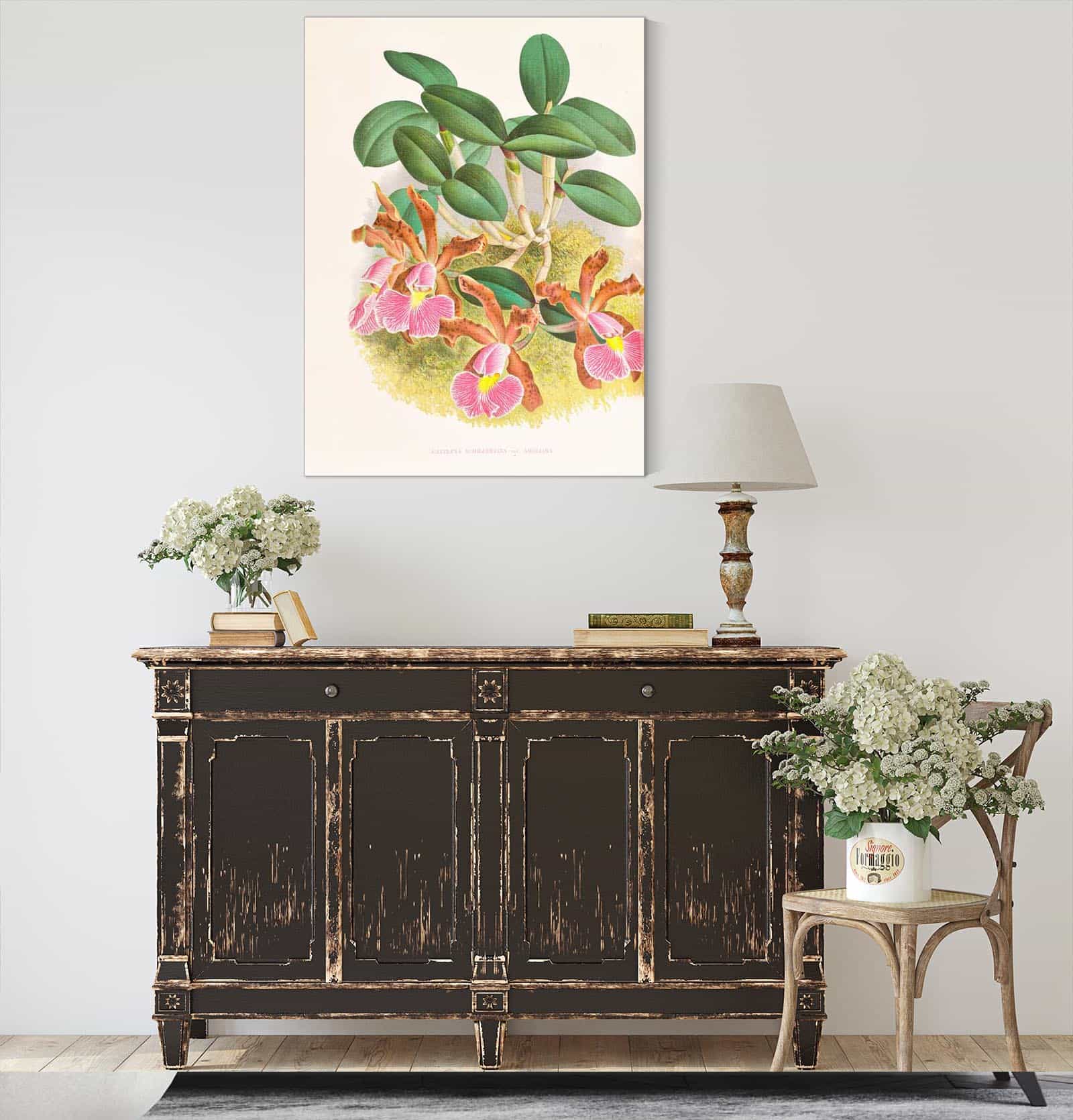 Cattleya Schilleriana by Jean Jules Linden - Image 4