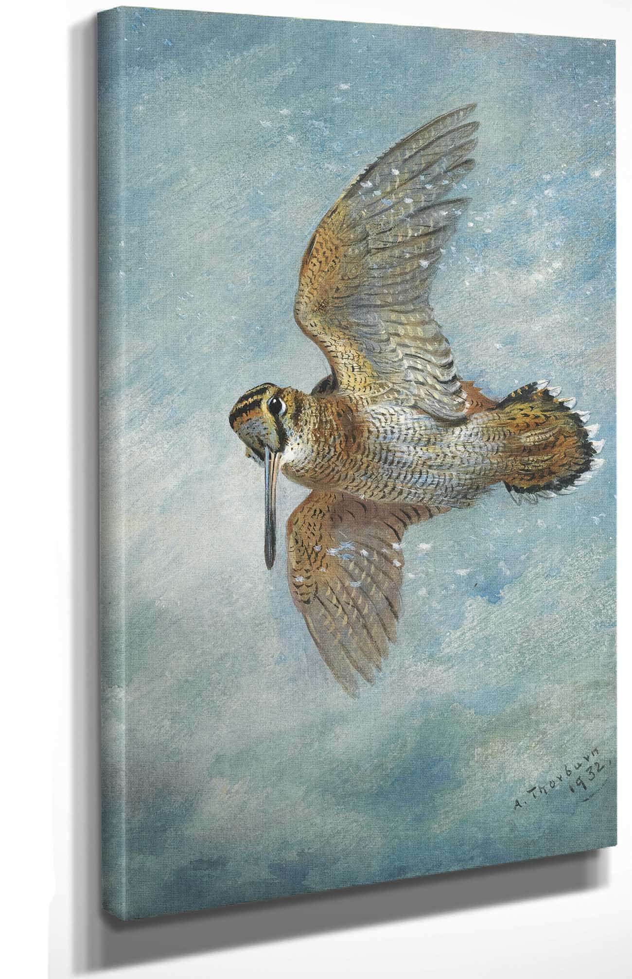Caught In A Blizzard Woodcock by Archibald Thorburn - Image 4