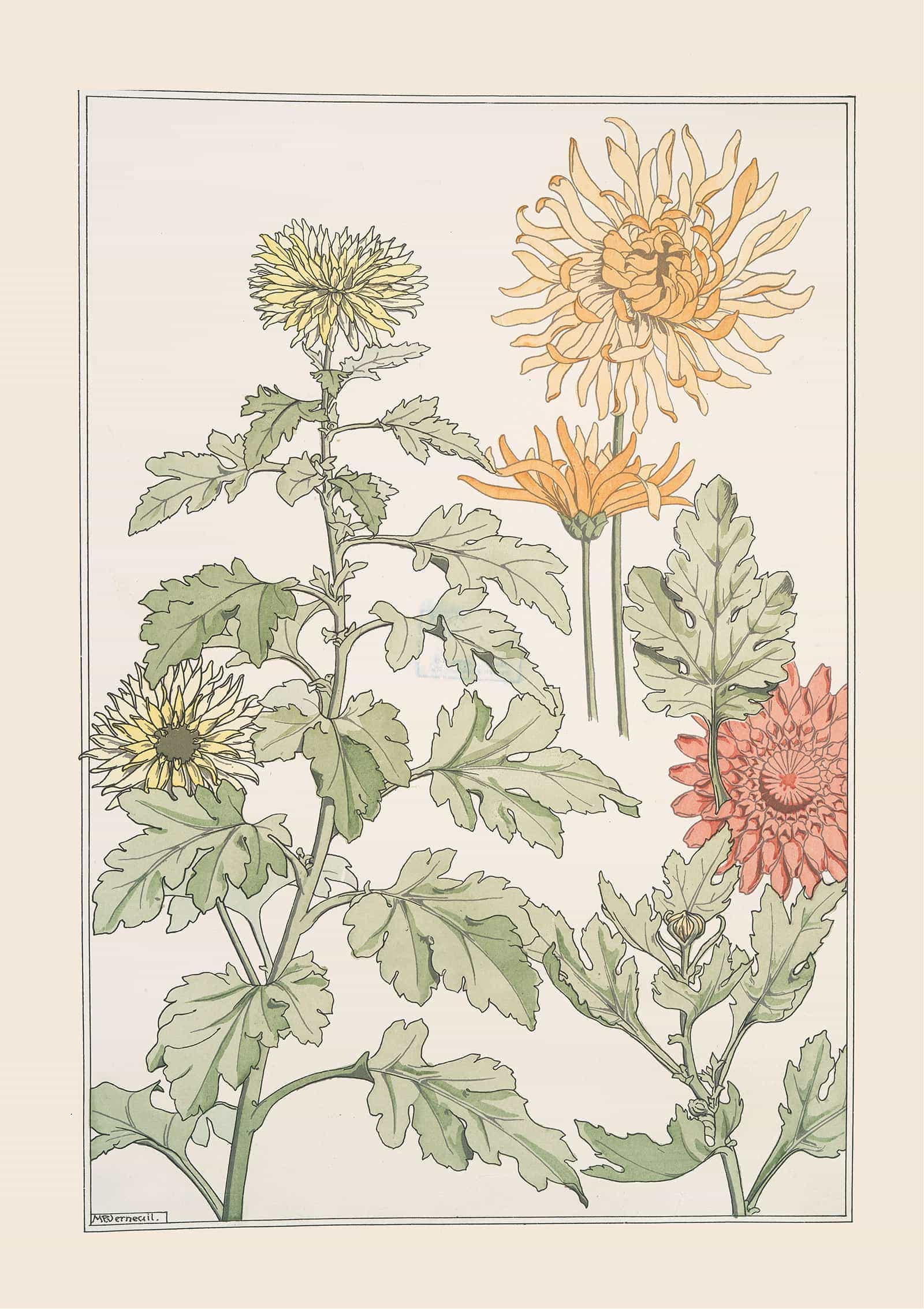 Chrysantheme by Maurice Pillard Verneuil - Image 4
