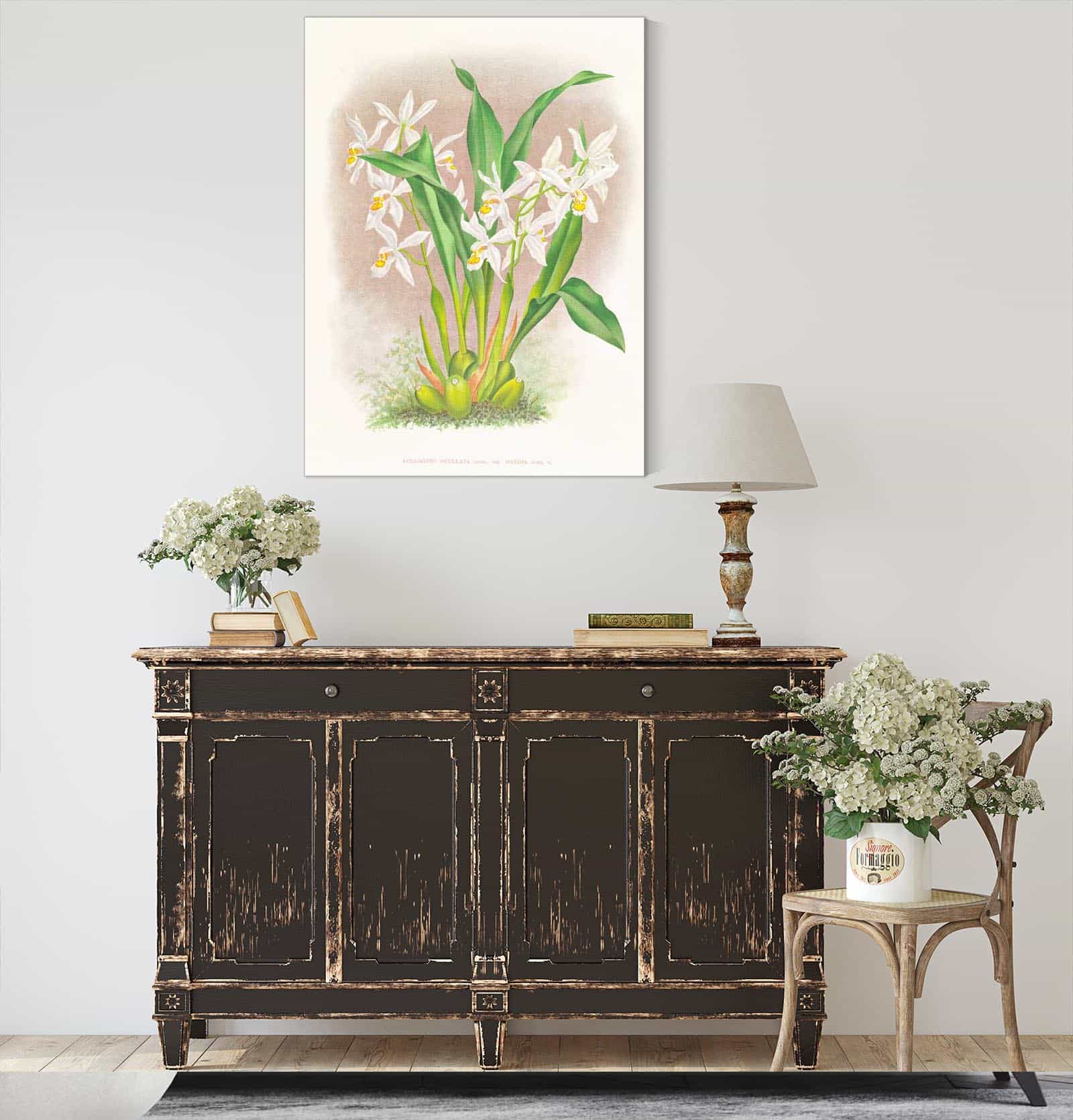 Coelogyne Ocellata by Jean Jules Linden - Image 4
