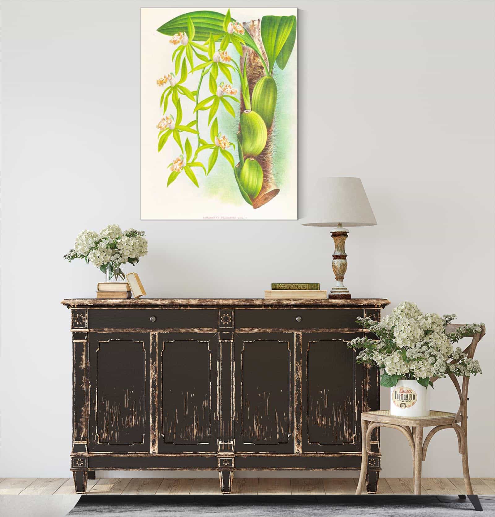 Coelogyne Peltastes by Jean Jules Linden - Image 4