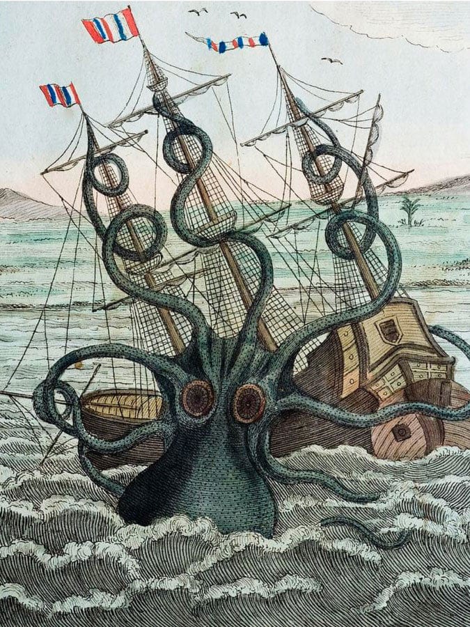 Colassal Octopus By Bilderbuch - Image 6