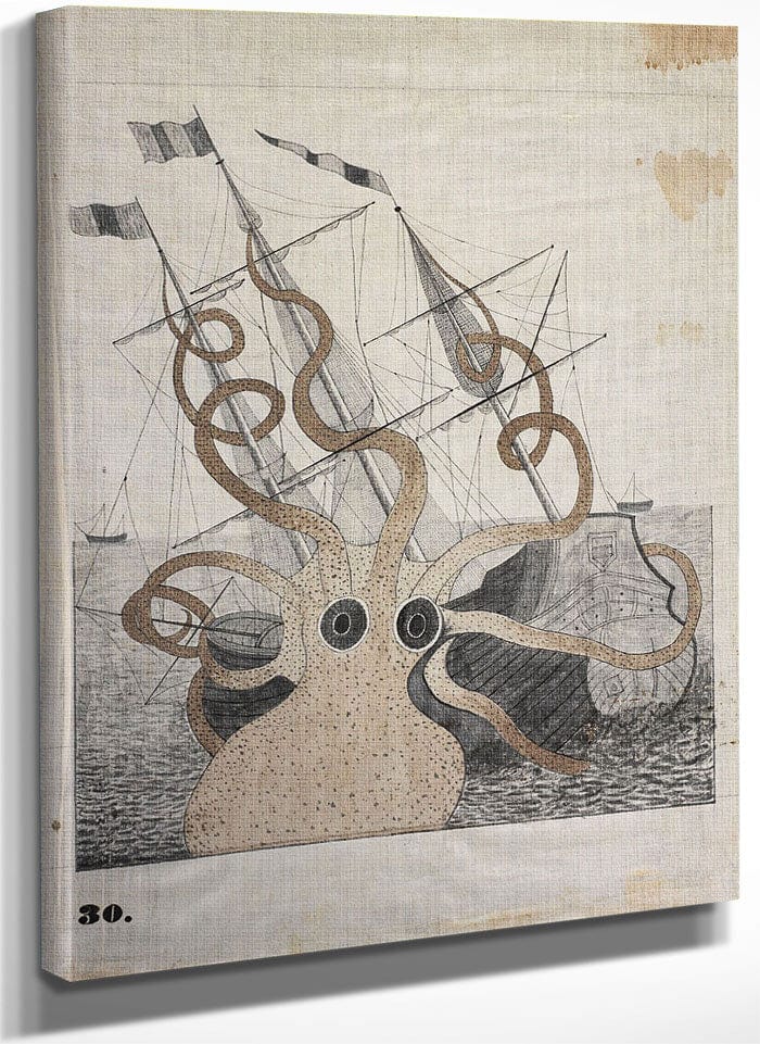 Colossal Octopus By Orra White Hitchcock