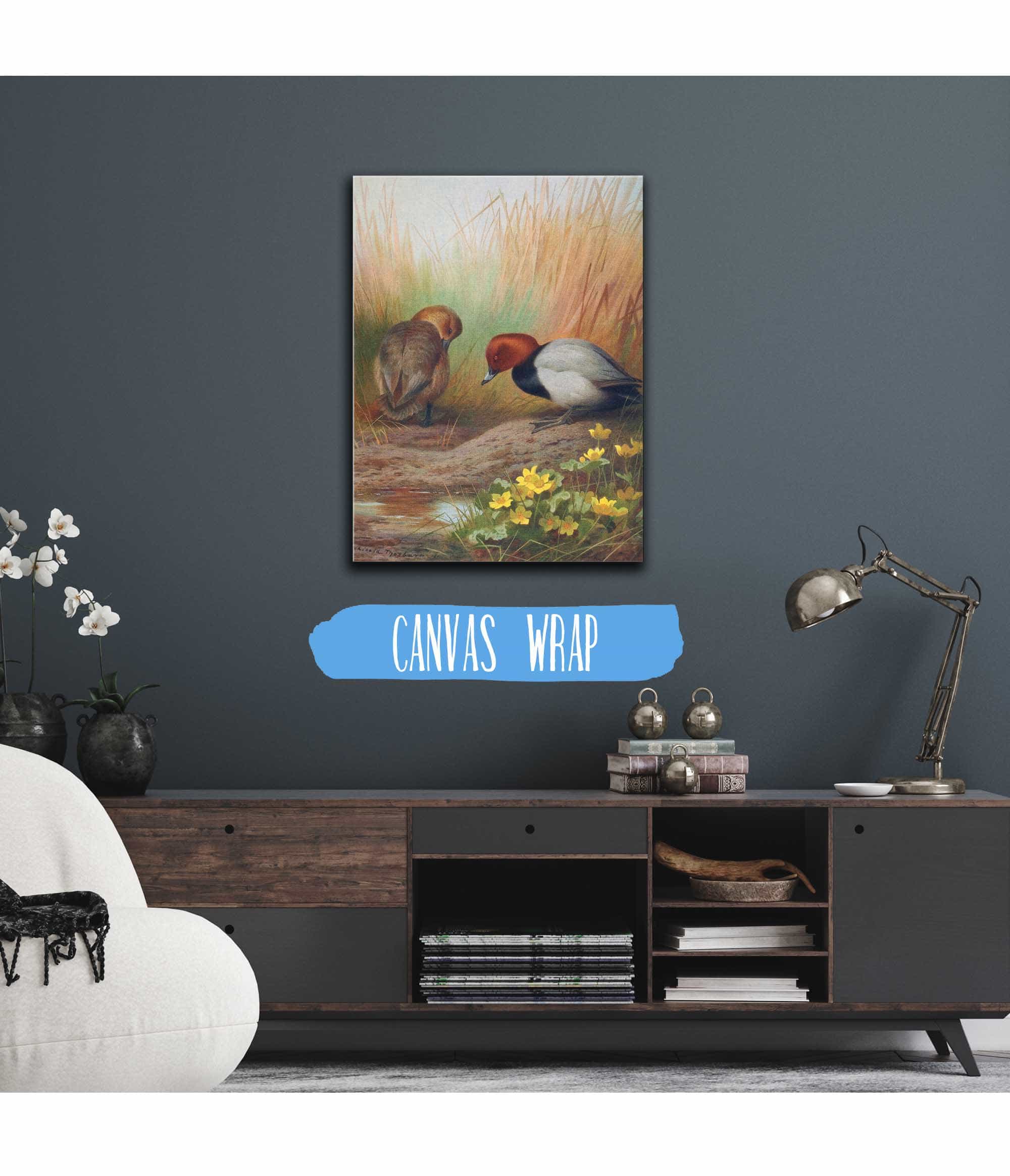 Common Pochard by Archibald Thorburn - Image 3