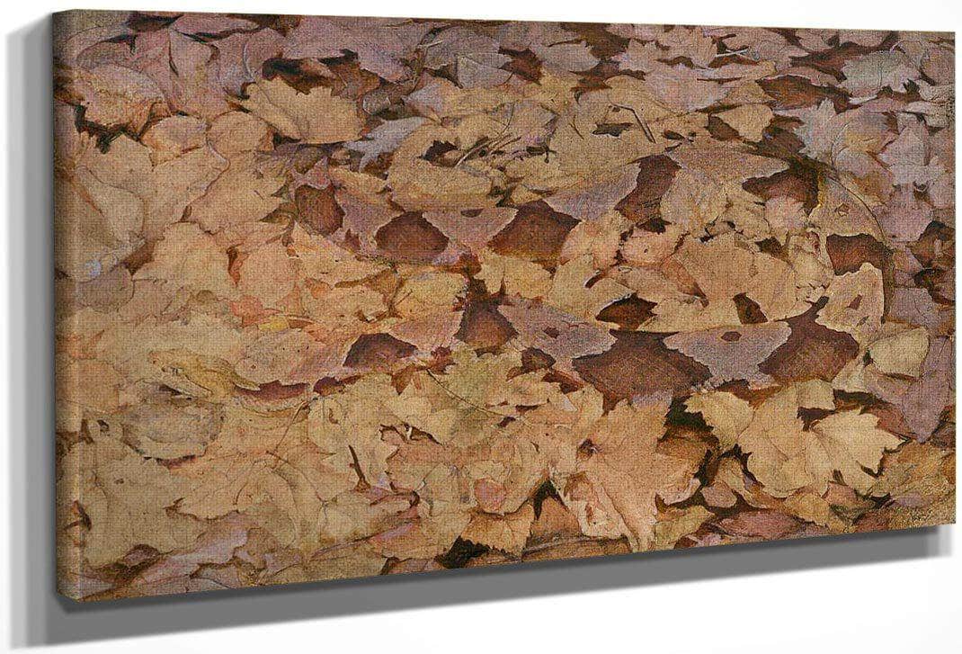 Copperhead Snake On Dead Leaves, Study For Book Concealing Coloration In The Animal Kingdom By Abbott Handerson Thayer