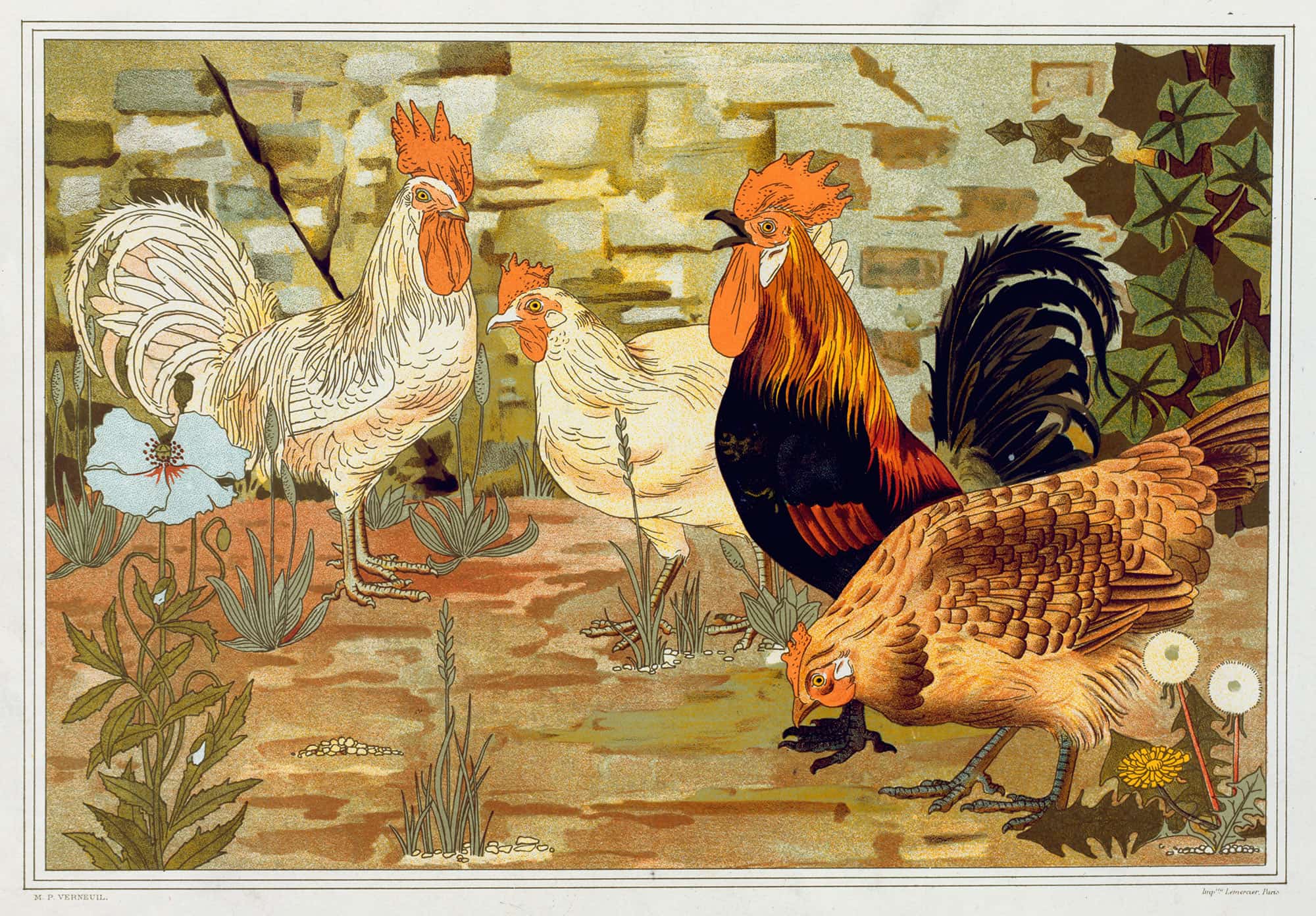 Coqs Et Poules by Maurice Pillard Verneuil