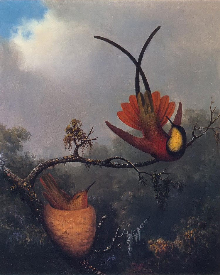 Crimson Topaz By Martin Johnson Heade - Image 6
