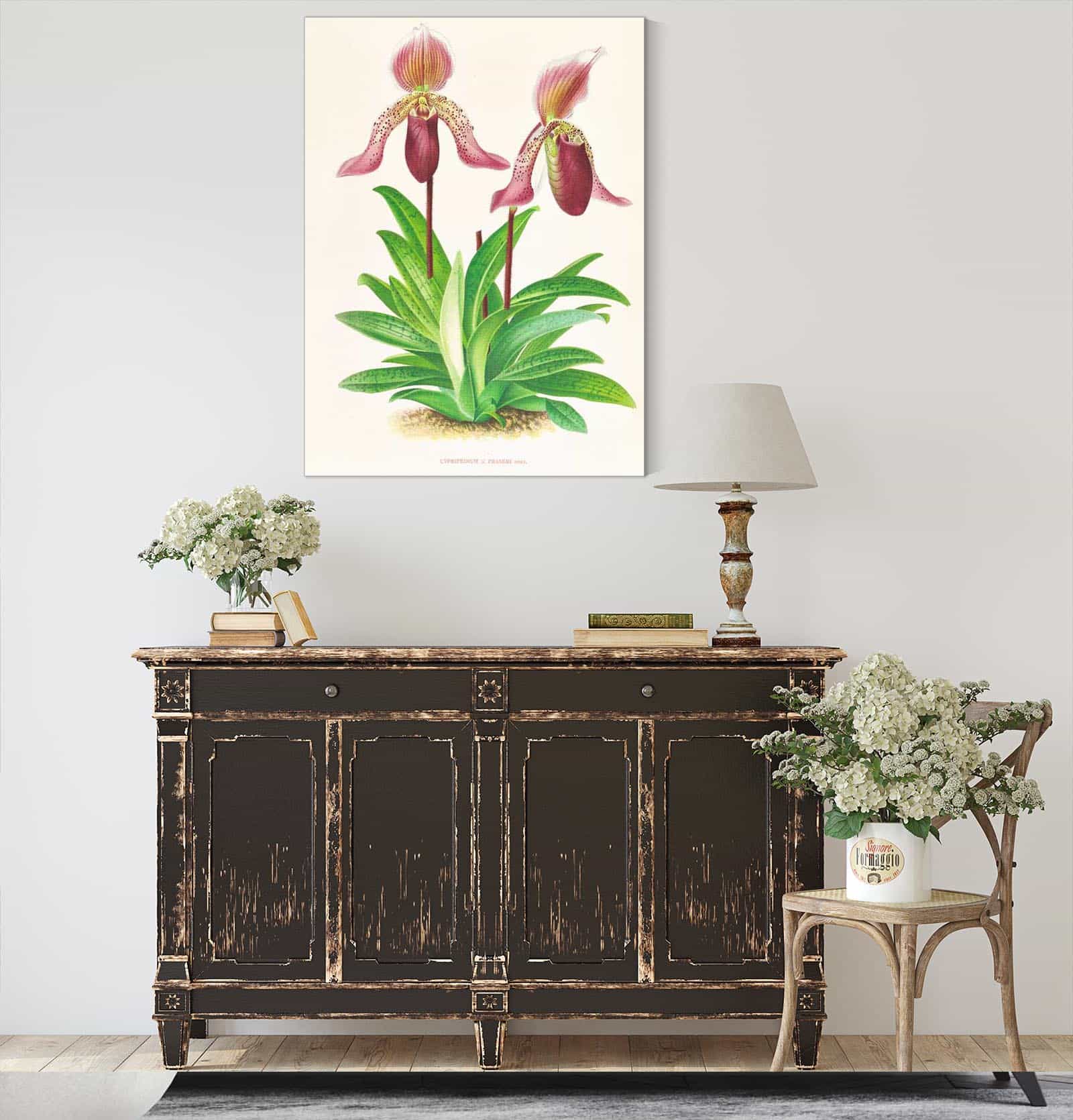 Cypripedium Fraseri by Jean Jules Linden - Image 4