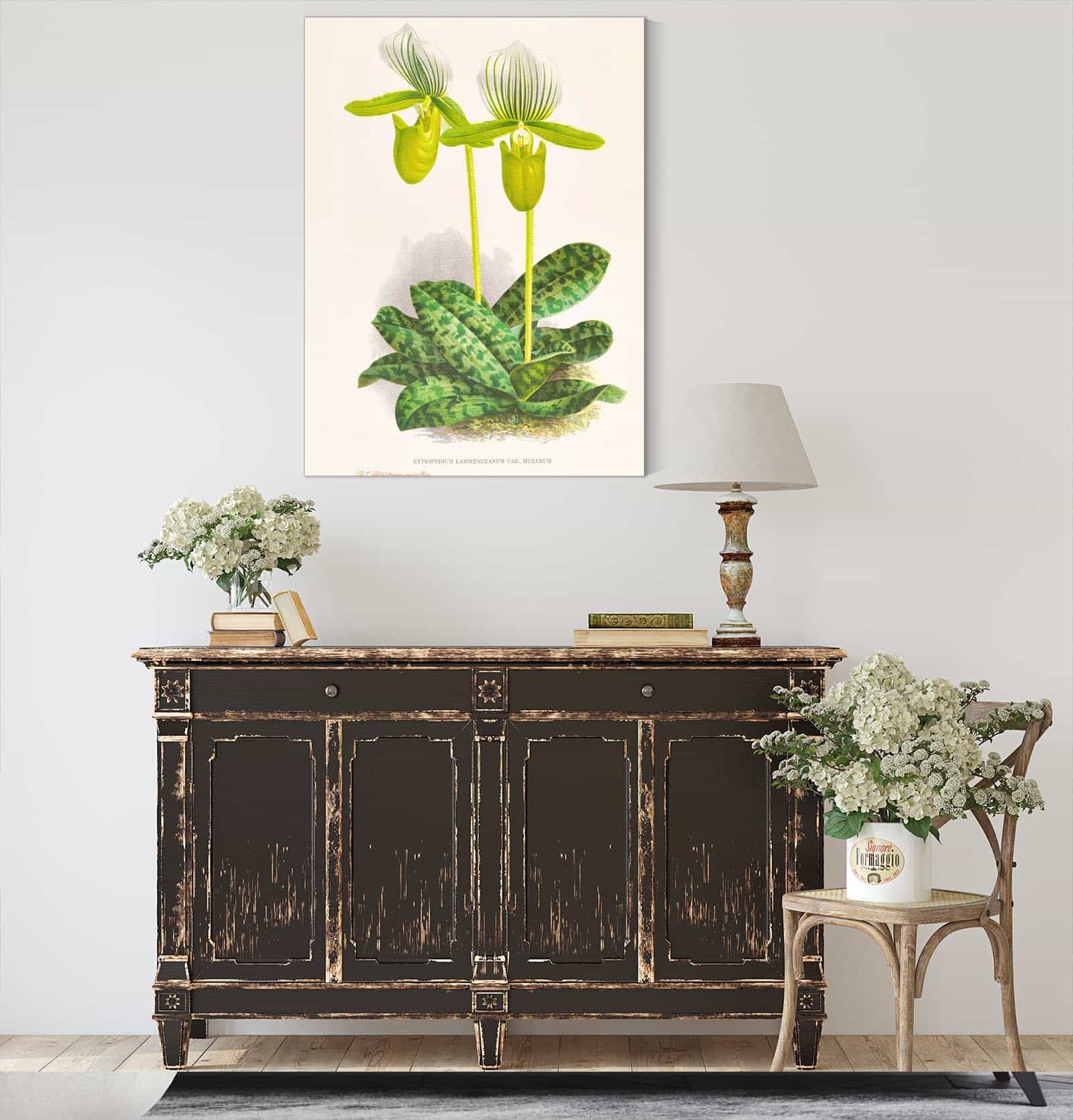 Cypripedium Lawrenceanum Var Hyeanum by Jean Jules Linden - Image 4