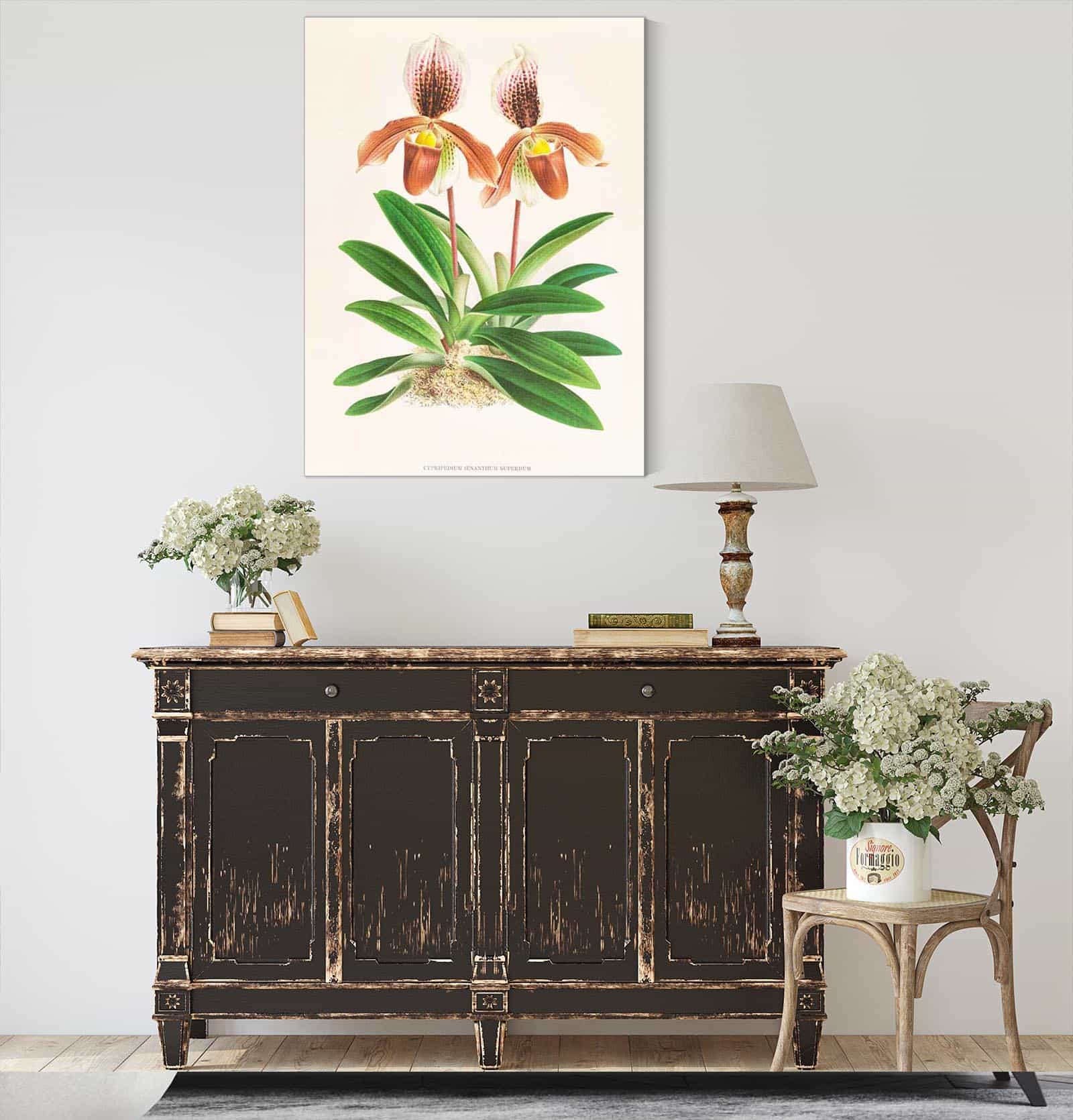 Cypripedium Oenanthum Superbum by Jean Jules Linden - Image 4