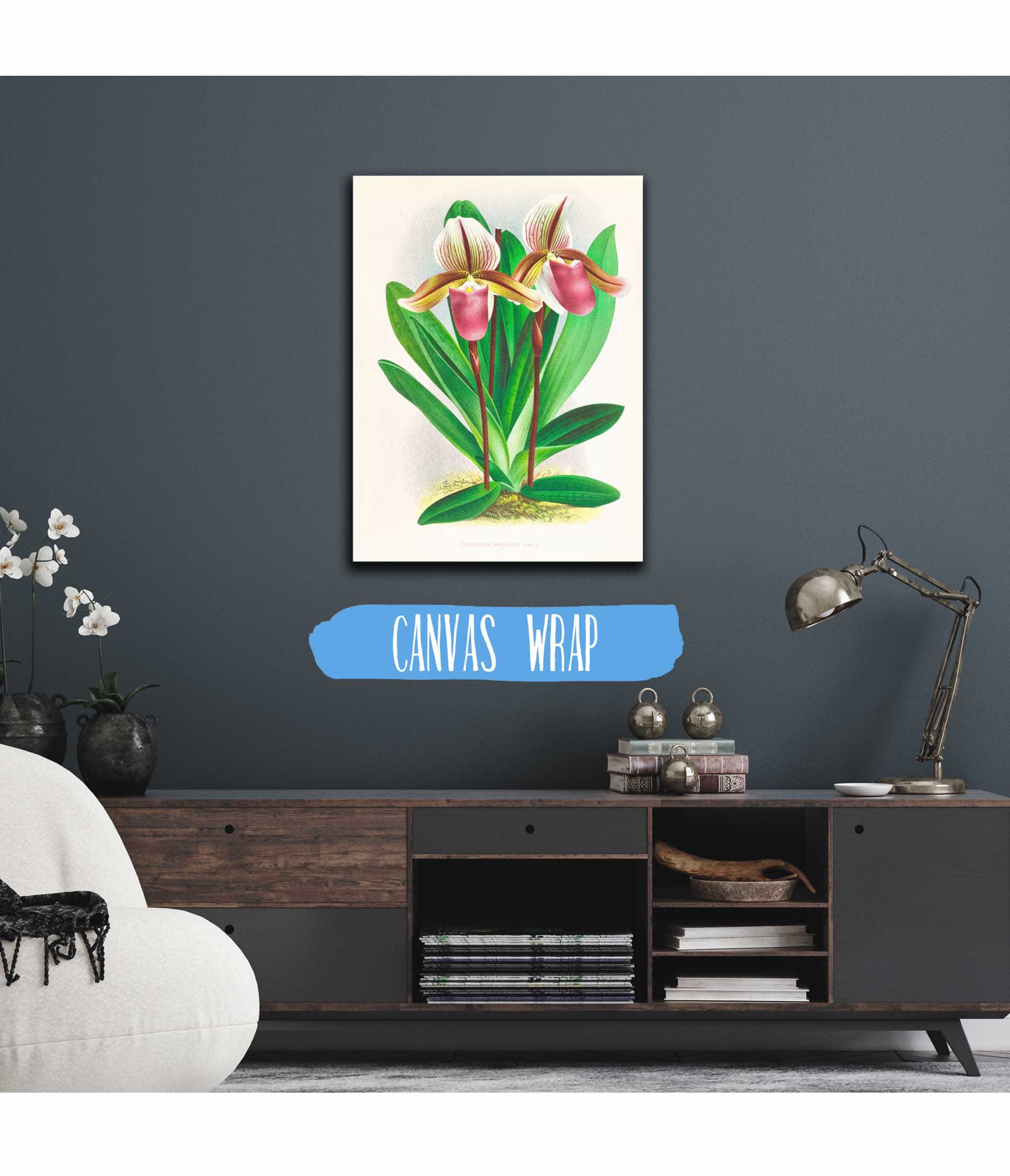 Cypripedium Orphanum by Jean Jules Linden - Image 3
