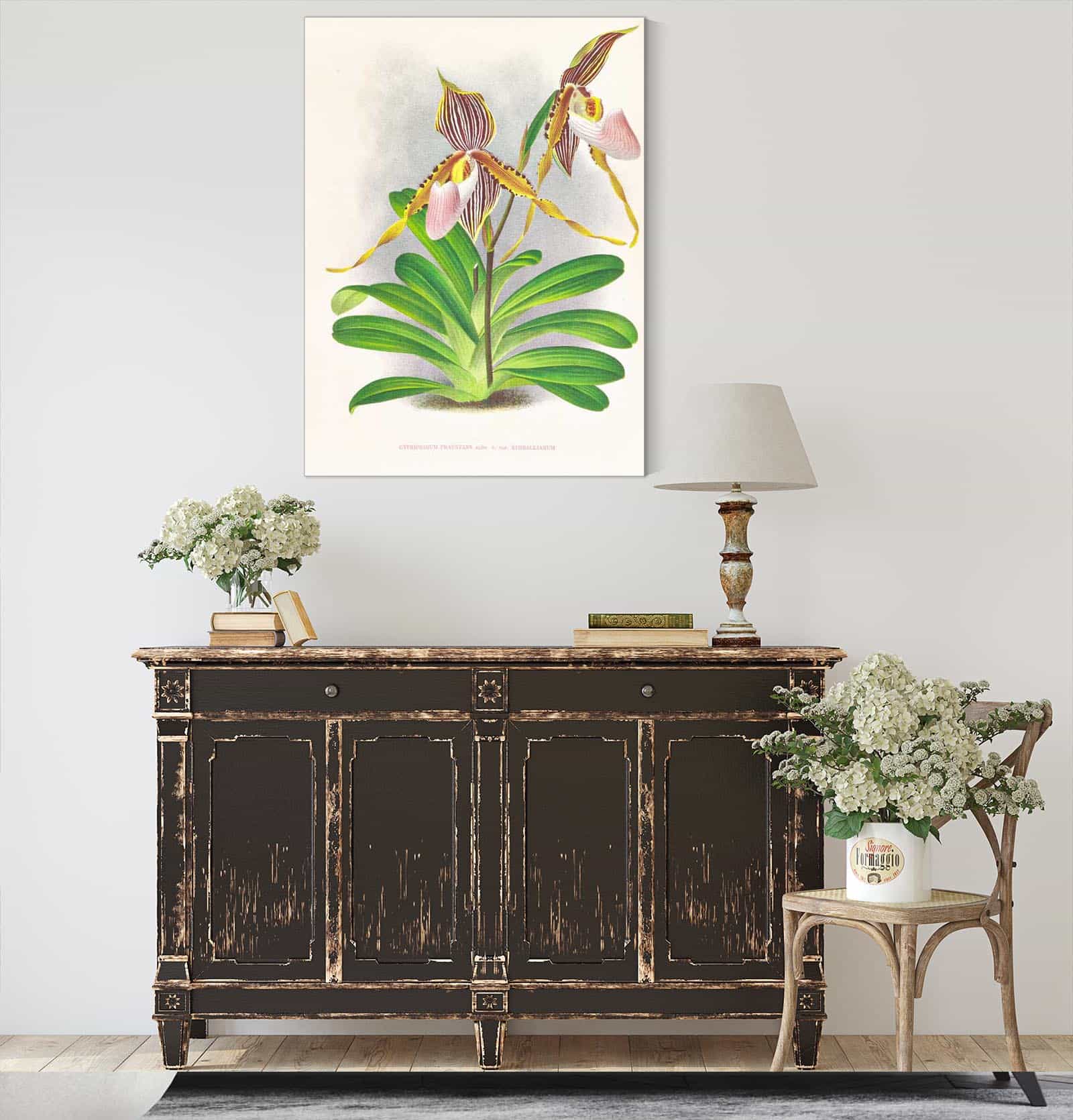 Cypripedium Praestans Var Kimballianum by Jean Jules Linden - Image 4