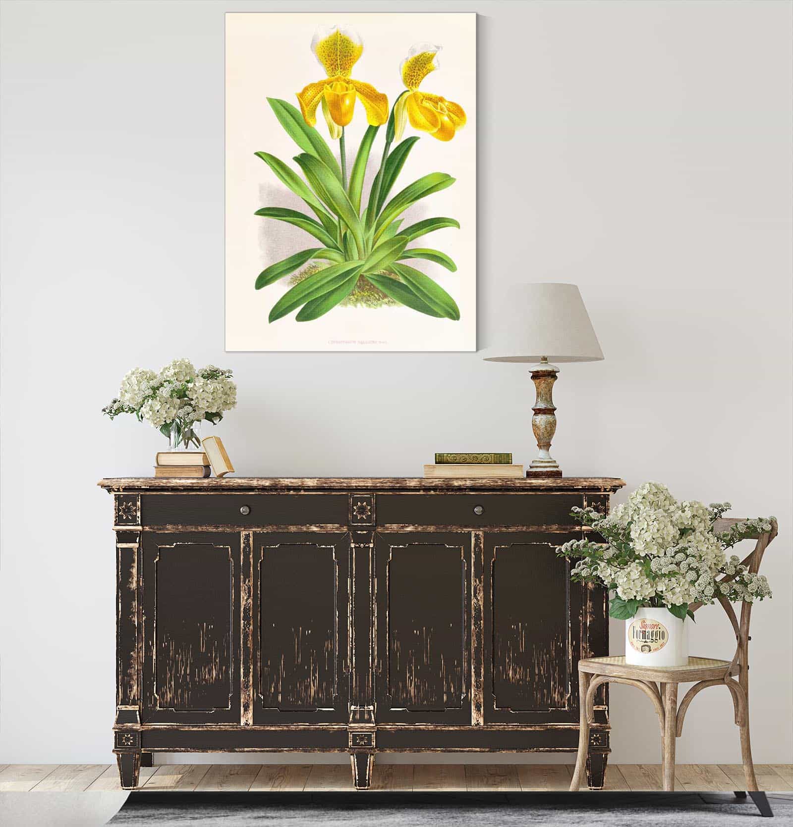 Cypripedium Sallieri by Jean Jules Linden - Image 4