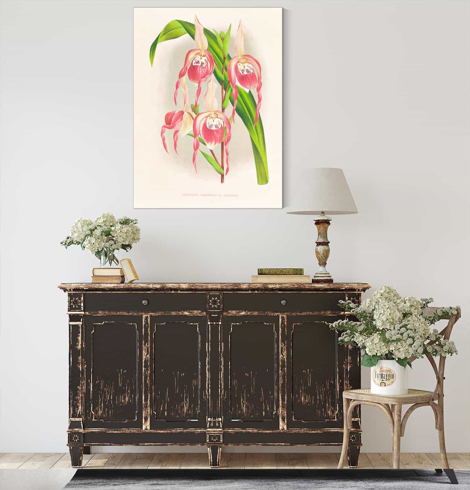 Cypripedium Schroderae Var Splendens by Jean Jules Linden - Image 4