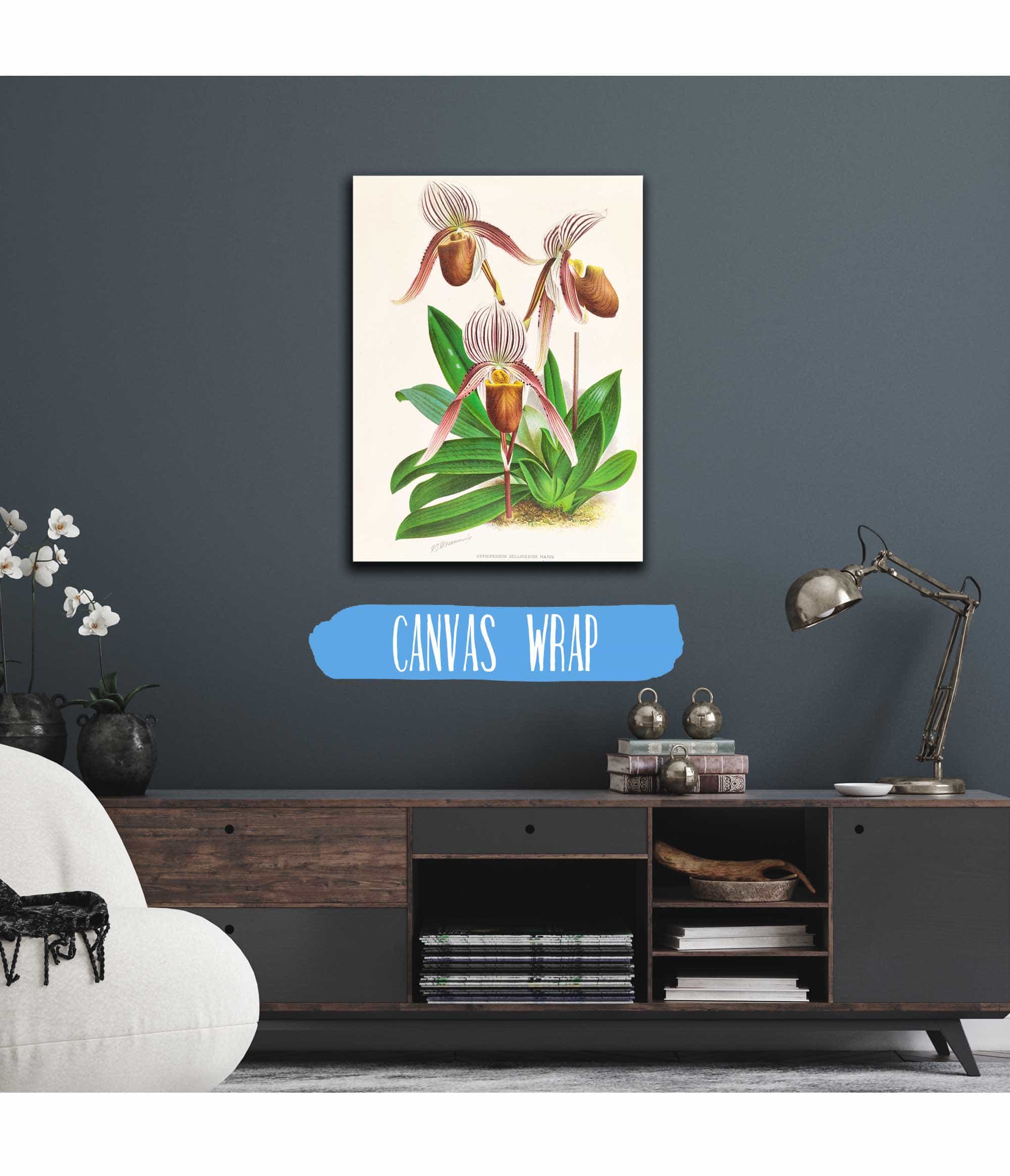 Cypripedium Selligerum Majus by Jean Jules Linden - Image 3