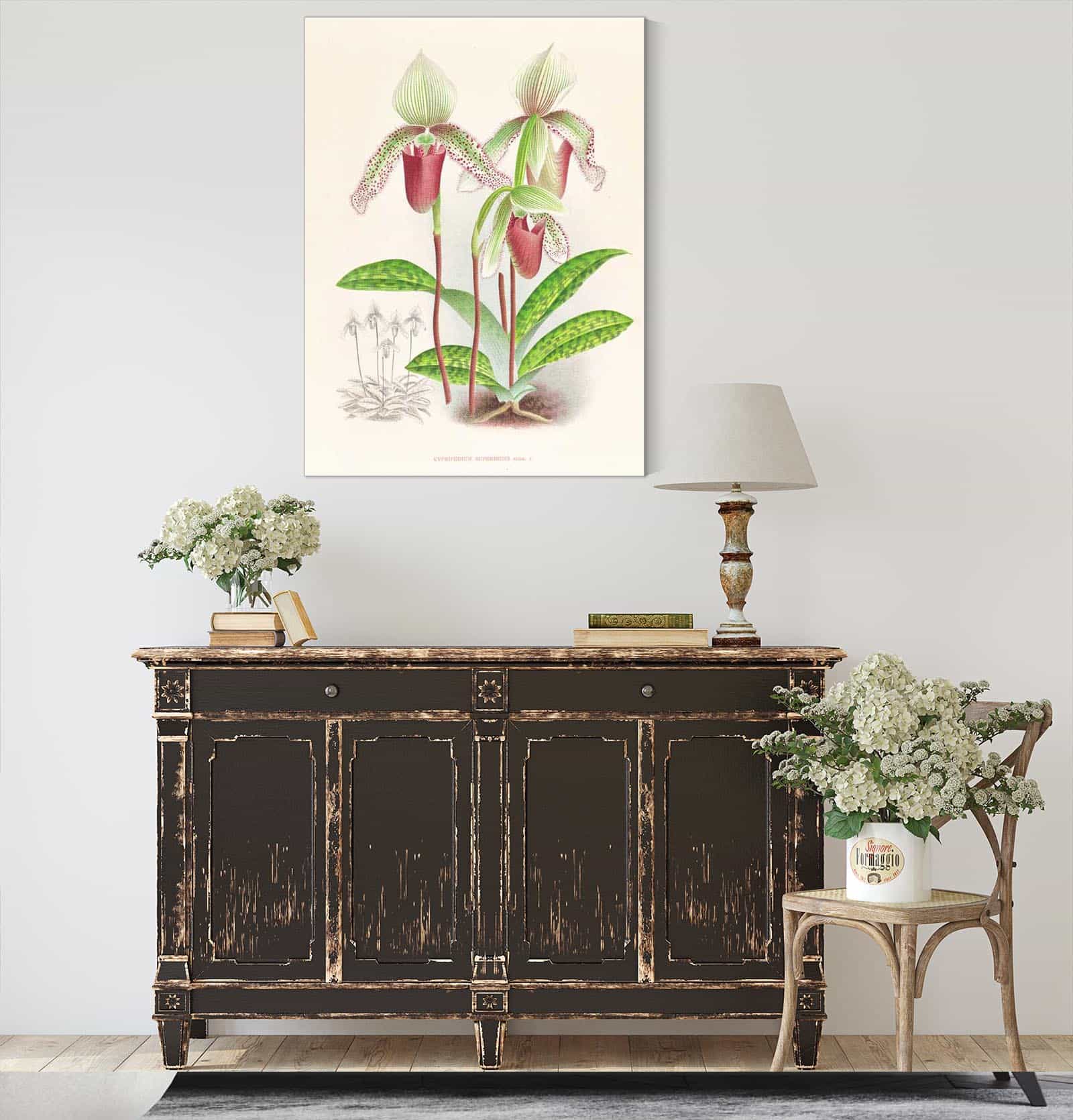 Cypripedium Superbiens by Jean Jules Linden - Image 4