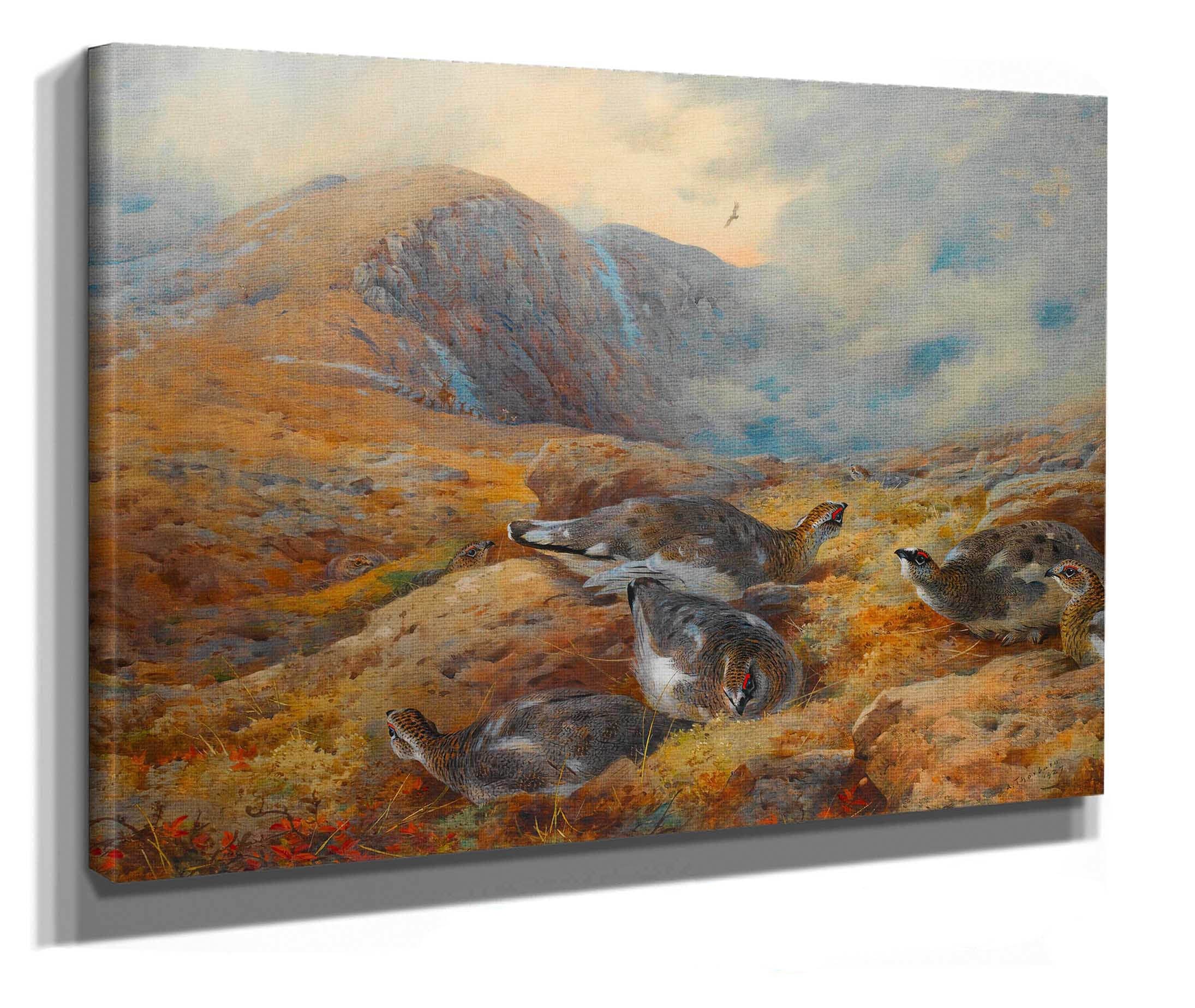 Danger Aloft Ptarmigan by Archibald Thorburn - Image 2