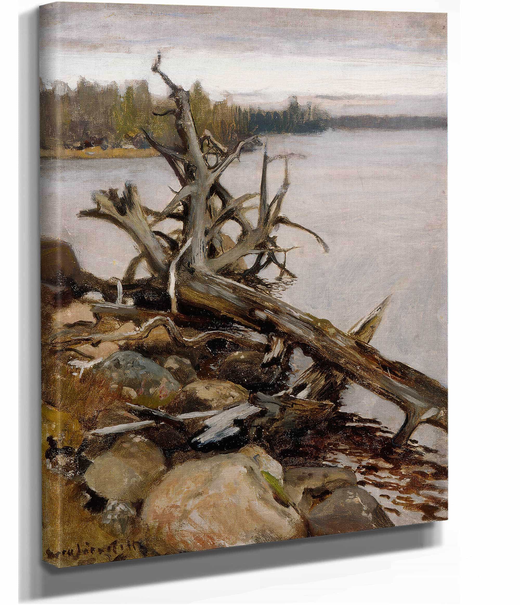Dead Pine In The Water by Eero Jarnefelt - Image 2