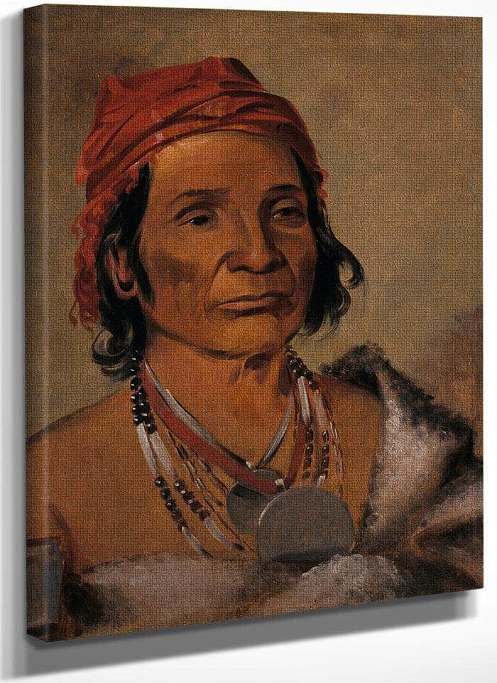 Deep Lake, An Old Chief By George Catlin